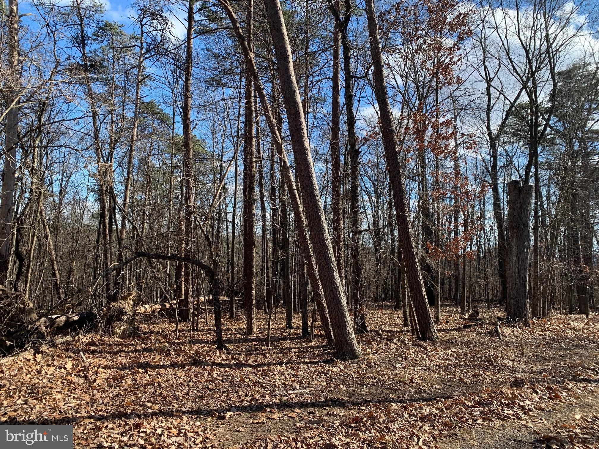 Cross Junction, Frederick County, VA Farms and Ranches for sale