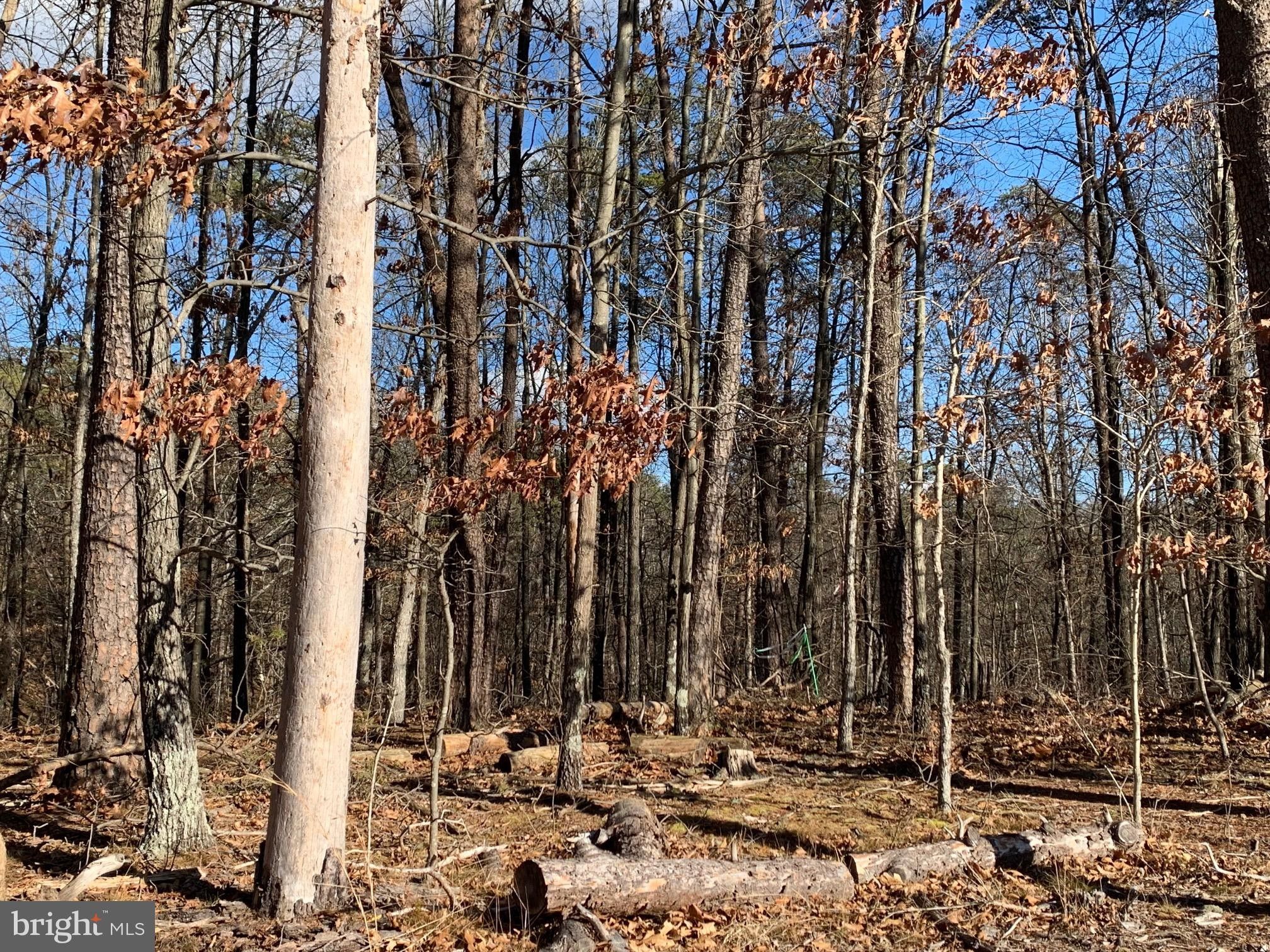 Cross Junction, Frederick County, VA Farms and Ranches for sale