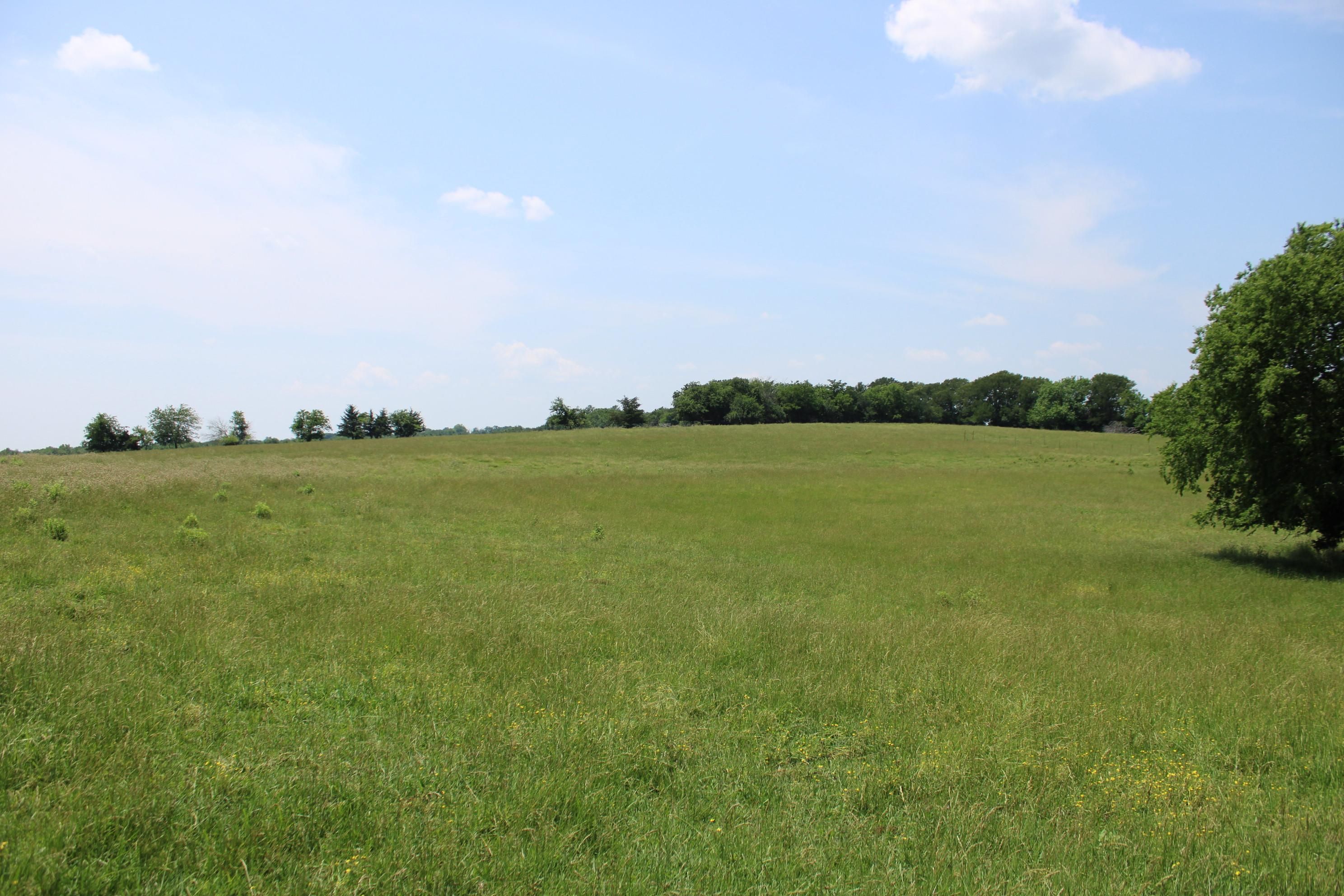 County Road 2760, Honey Grove, TX 75446 MLS 4223313742 LandWatch