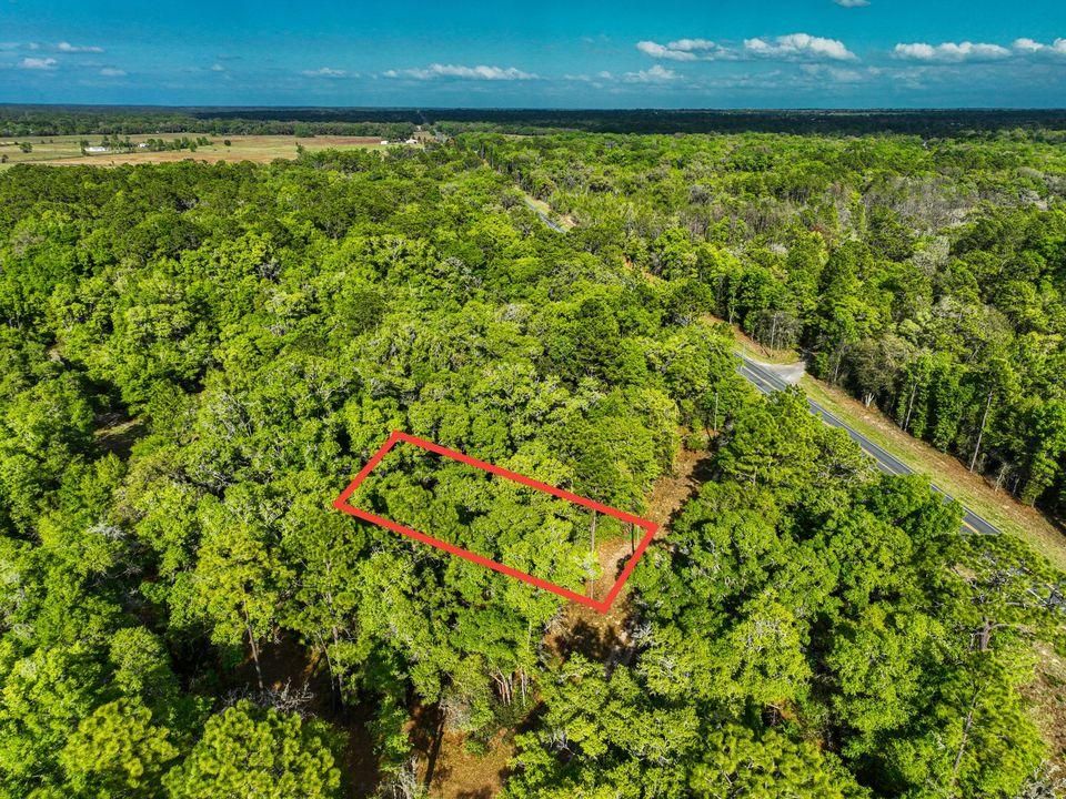Dunnellon, Citrus County, FL Undeveloped Land, Horse Property