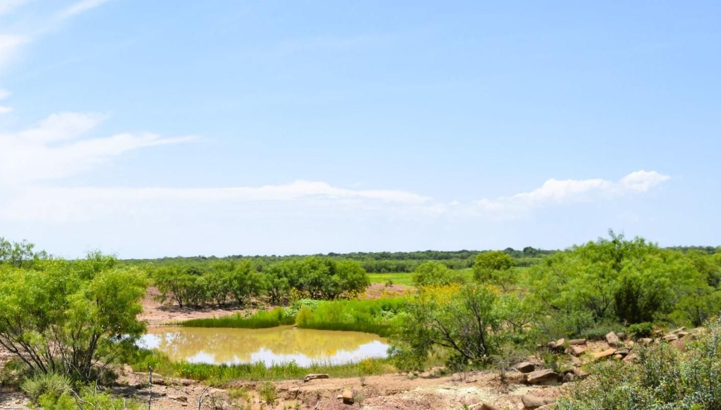 Santa Anna, Coleman County, TX Farms and Ranches, Hunting Property for