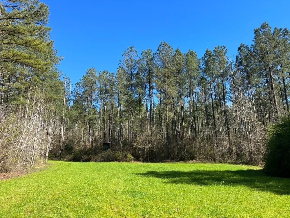 Centreville, Perry County, AL Hunting Property for sale Property ID 415377750 LandWatch
