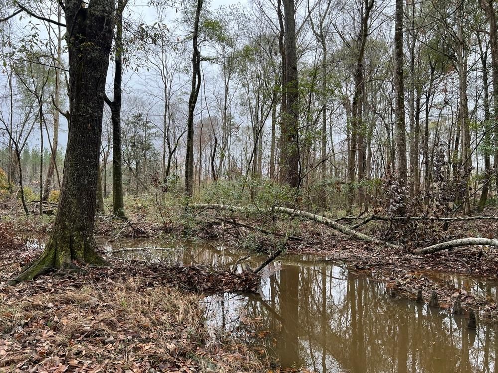 Grady, Montgomery County, AL Timberland Property, Hunting Property for