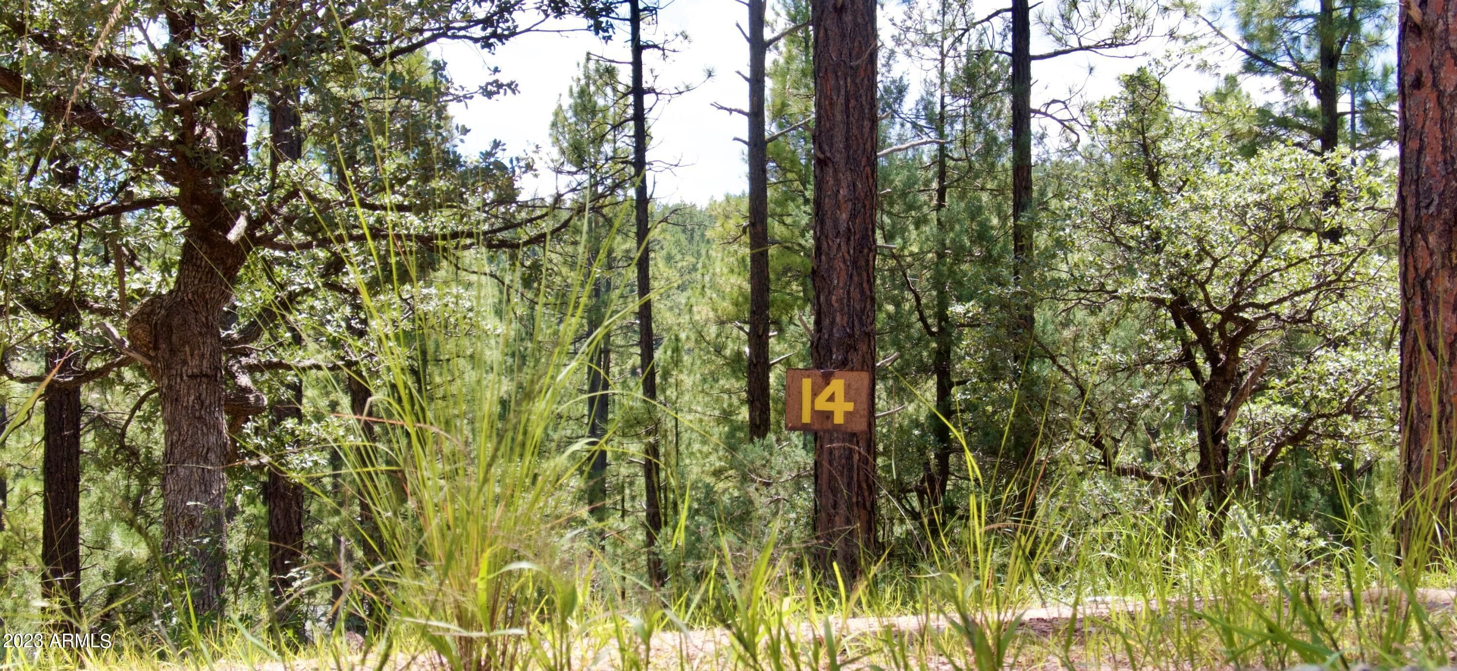 Payson, Gila County, AZ Undeveloped Land, Homesites for sale Property