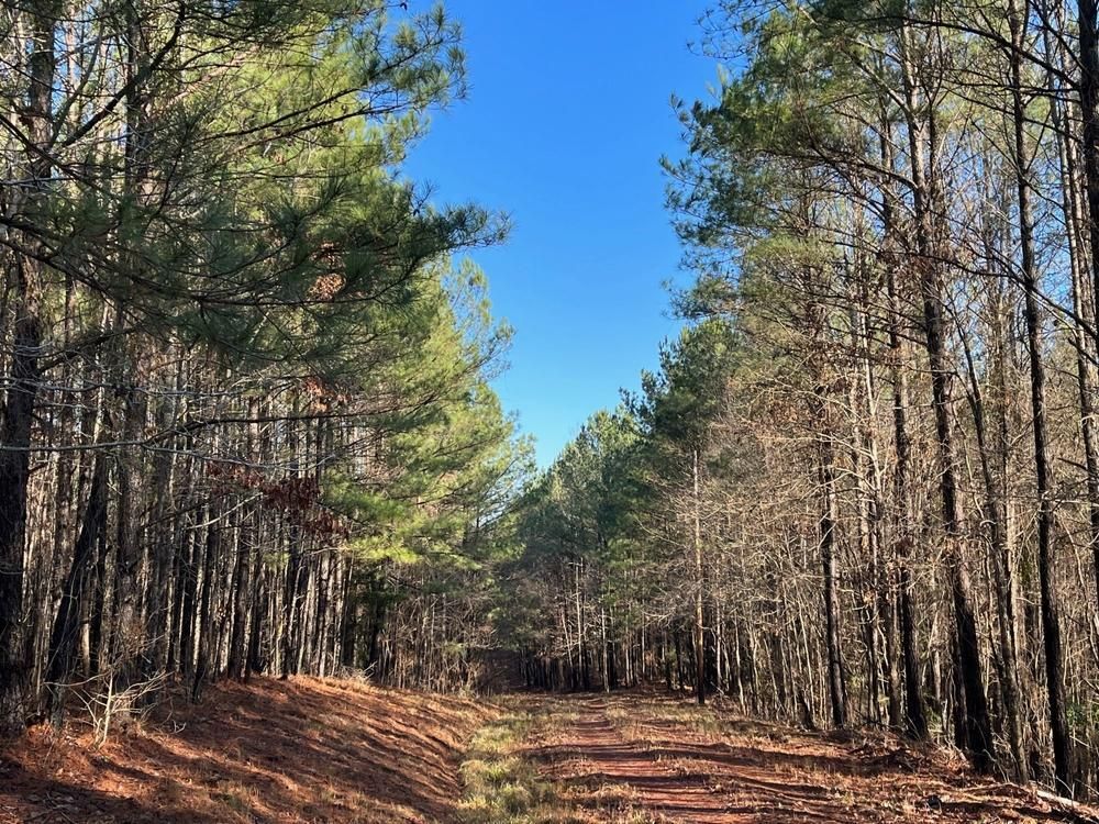 Cottondale, Tuscaloosa County, AL Undeveloped Land, House for sale