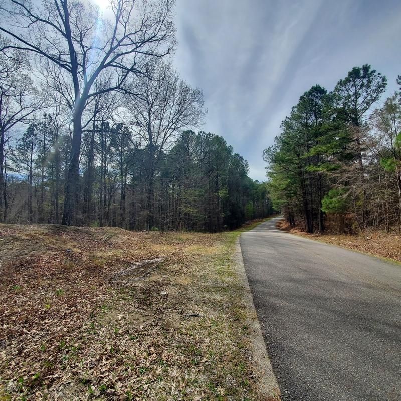 Piedmont, Calhoun County, AL Timberland Property, Hunting Property