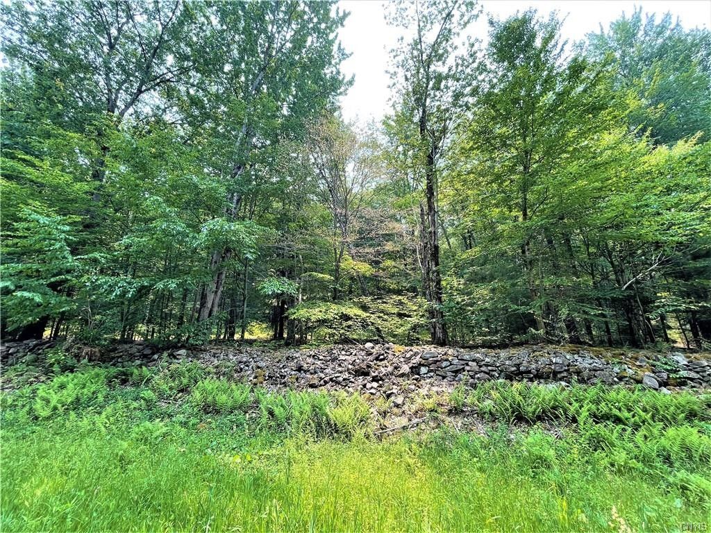 Constantia, Oswego County, NY Undeveloped Land for sale Property ID