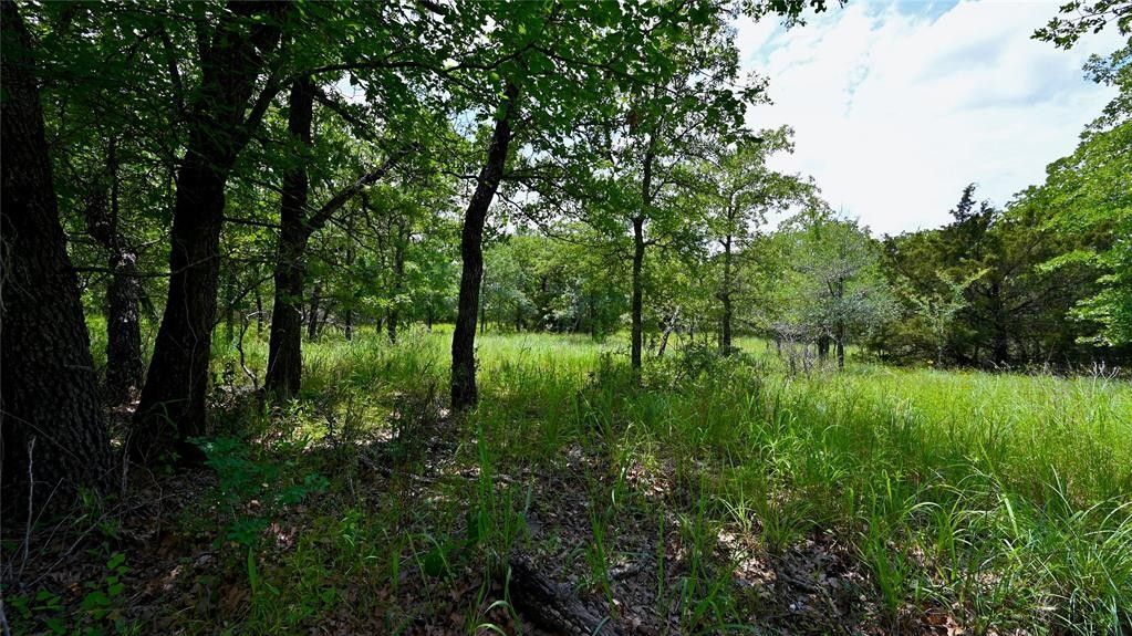 Sunset, Wise County, TX Undeveloped Land for sale Property ID
