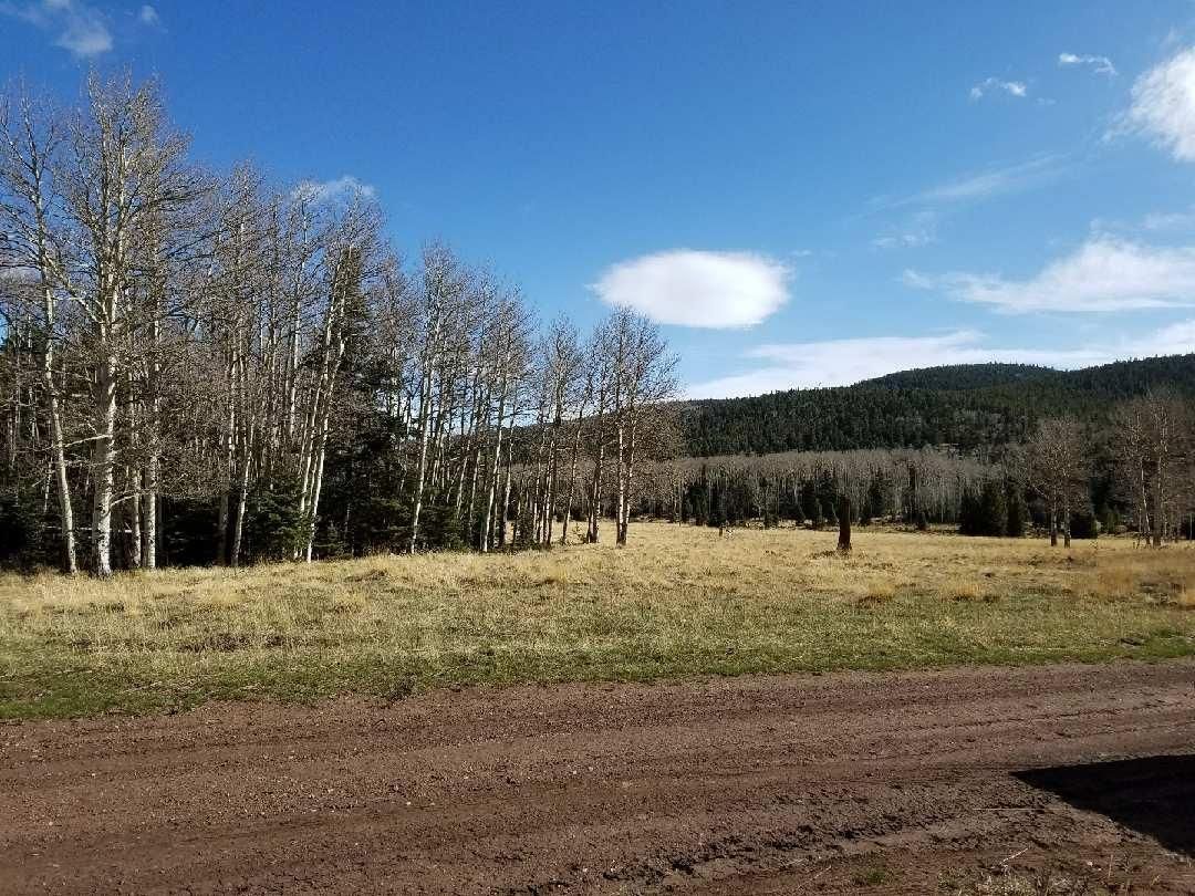 Fort Garland, Costilla County, CO Recreational Property, Homesites for