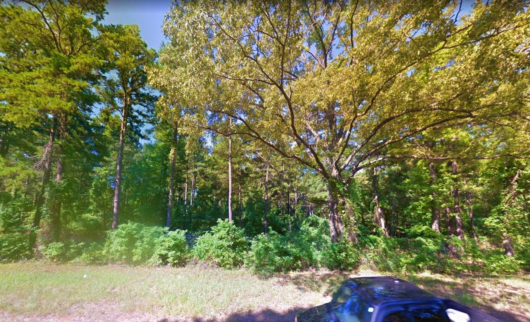 Avinger, Marion County, TX Recreational Property, Undeveloped Land