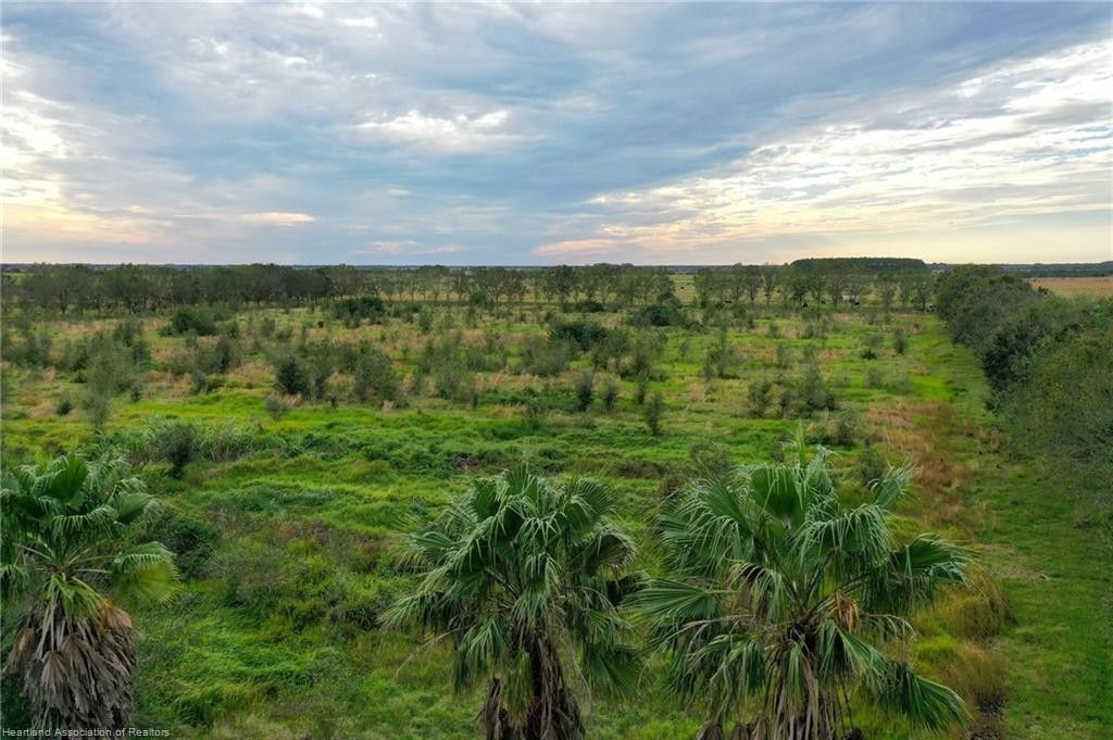 Sebring, Highlands County, FL Undeveloped Land for sale Property ID