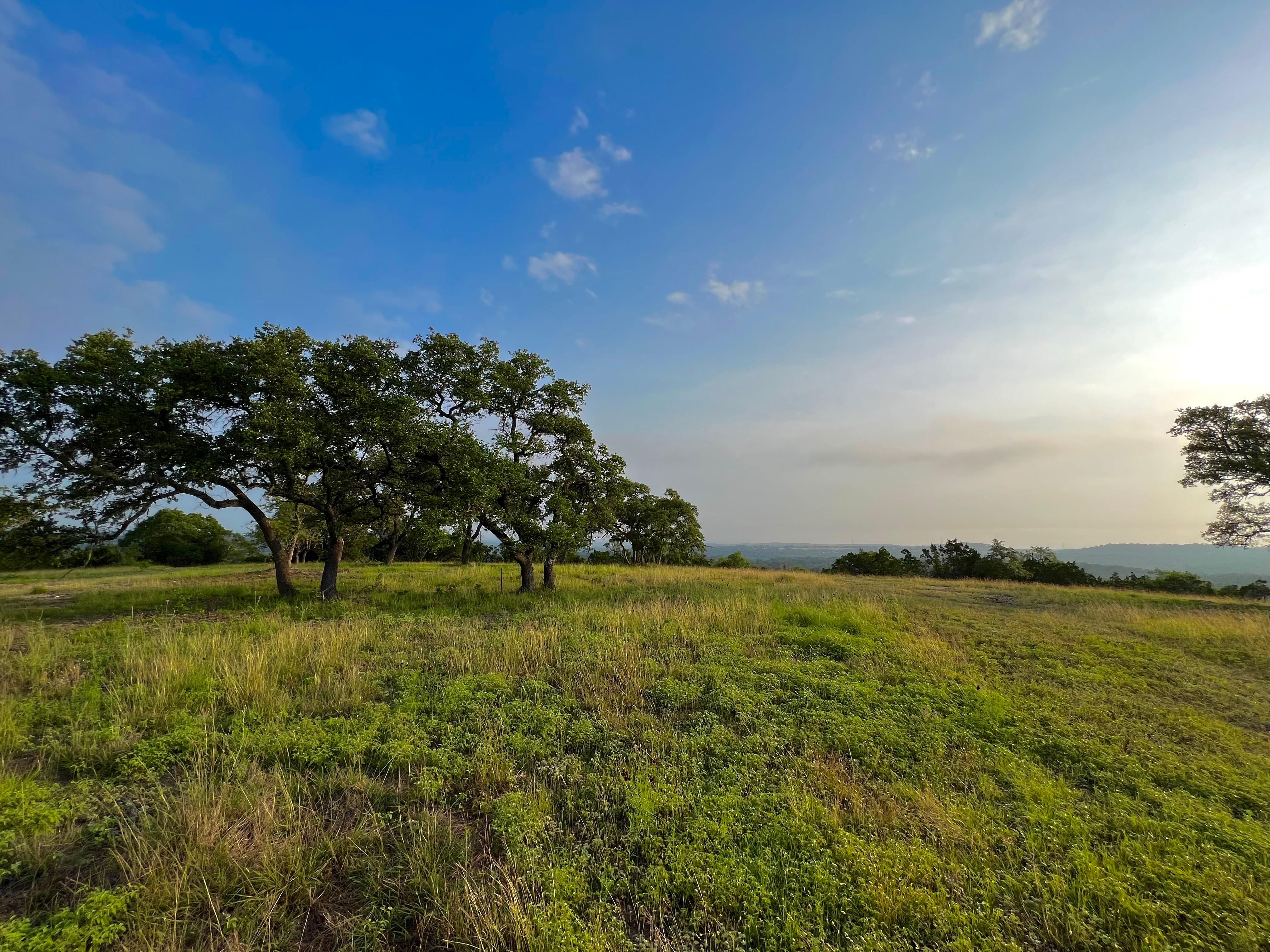 Boerne, Kendall County, TX Farms and Ranches, Horse Property for sale