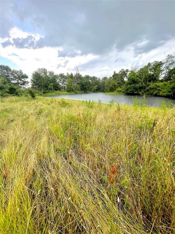 Ladonia, Fannin County, TX Undeveloped Land for sale Property ID