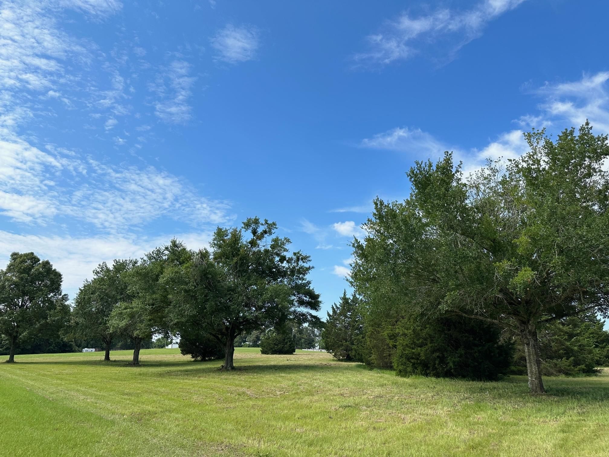 County Road 341, Jewett, TX 75846 LandWatch
