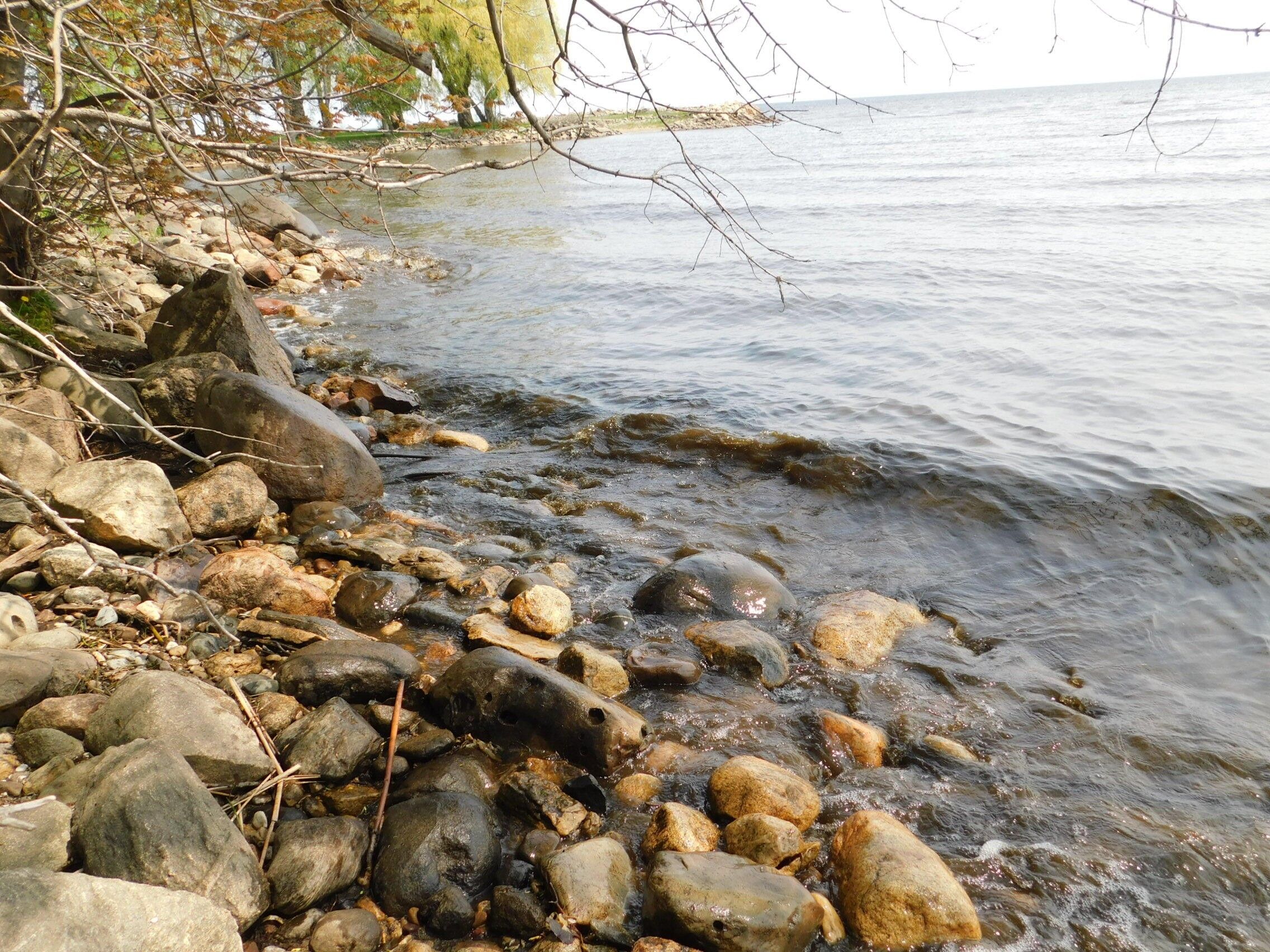 Oconto, Oconto County, WI Farms and Ranches, Lakefront Property