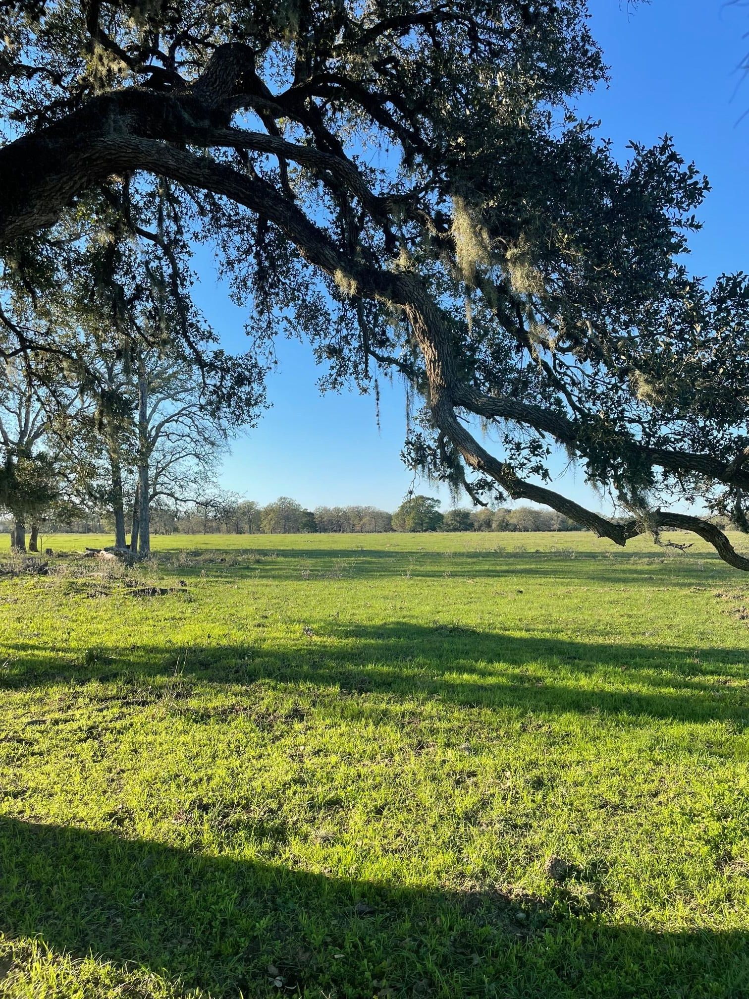 TBD Cummings Creek Road, Frelsburg, TX 78950 LandWatch