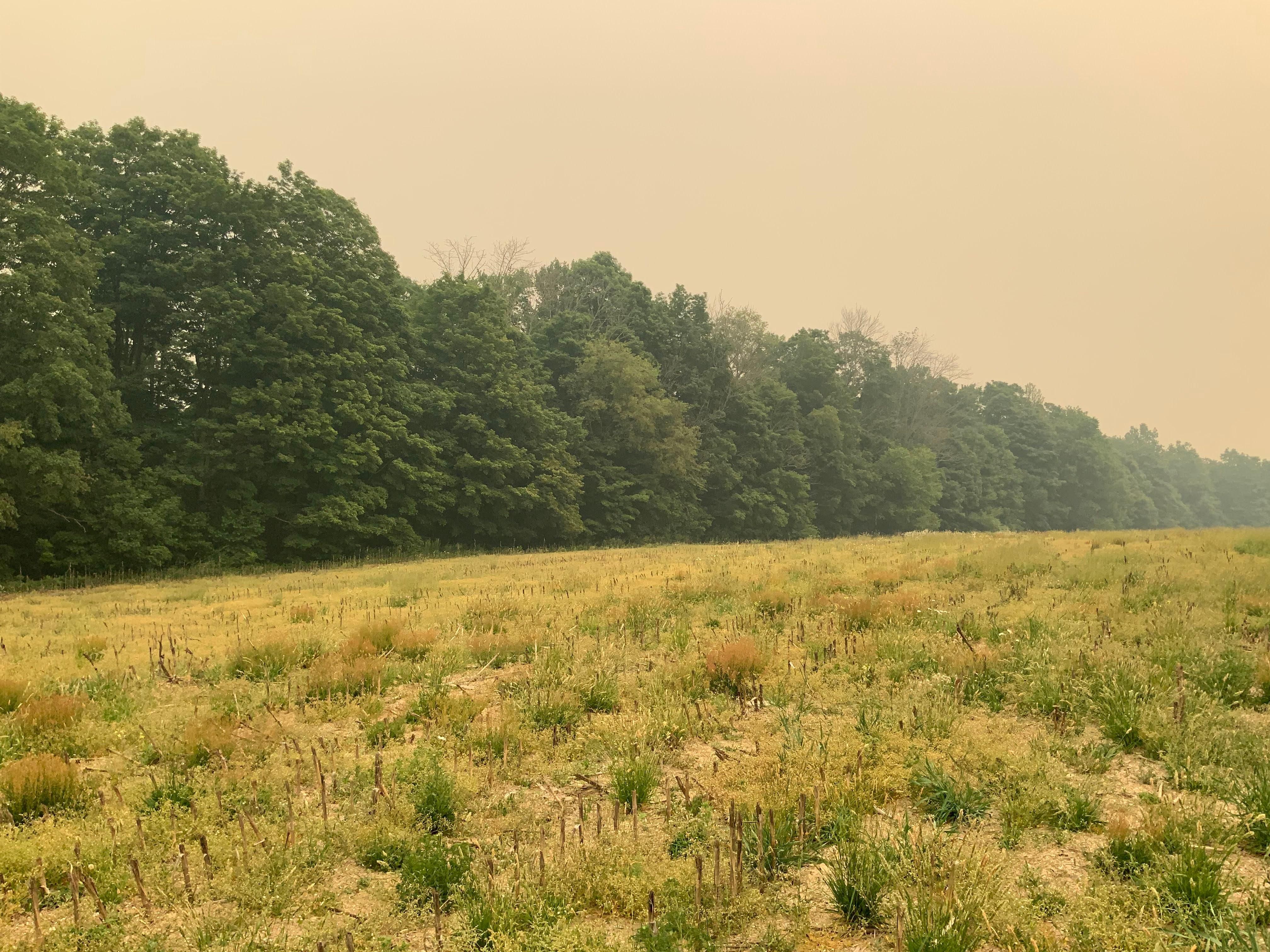 Berkshire, Tioga County, NY Recreational Property, Undeveloped Land for sale Property ID