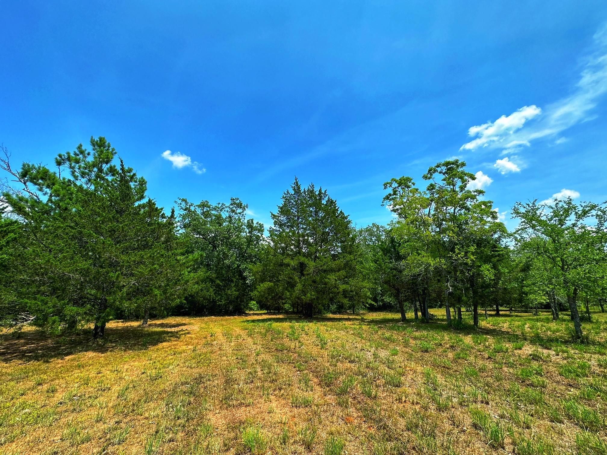 Fairfield, Freestone County, TX Recreational Property, Hunting Property