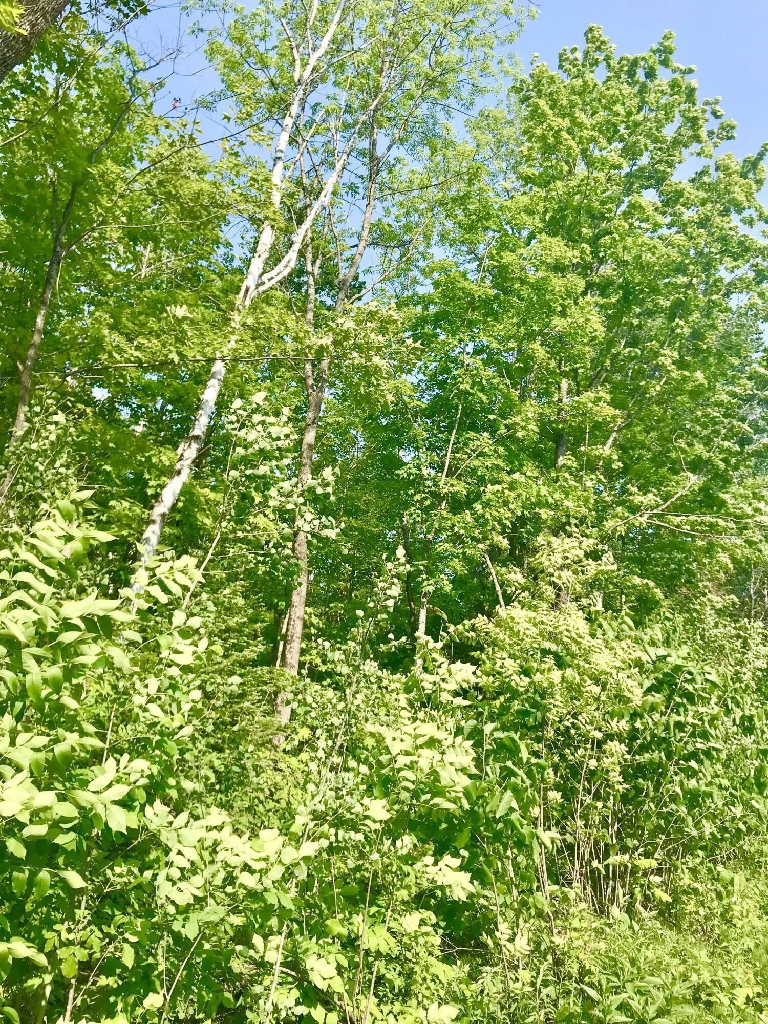 Pickford, Chippewa County, MI Undeveloped Land for sale Property ID