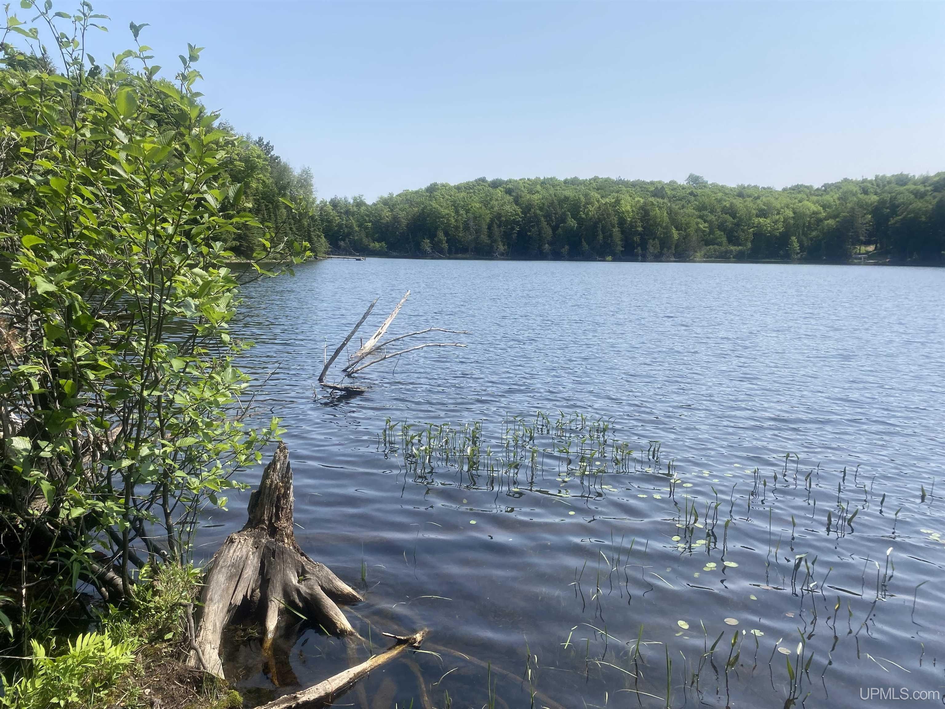Marenisco, Gogebic County, MI Farms and Ranches, Lakefront Property