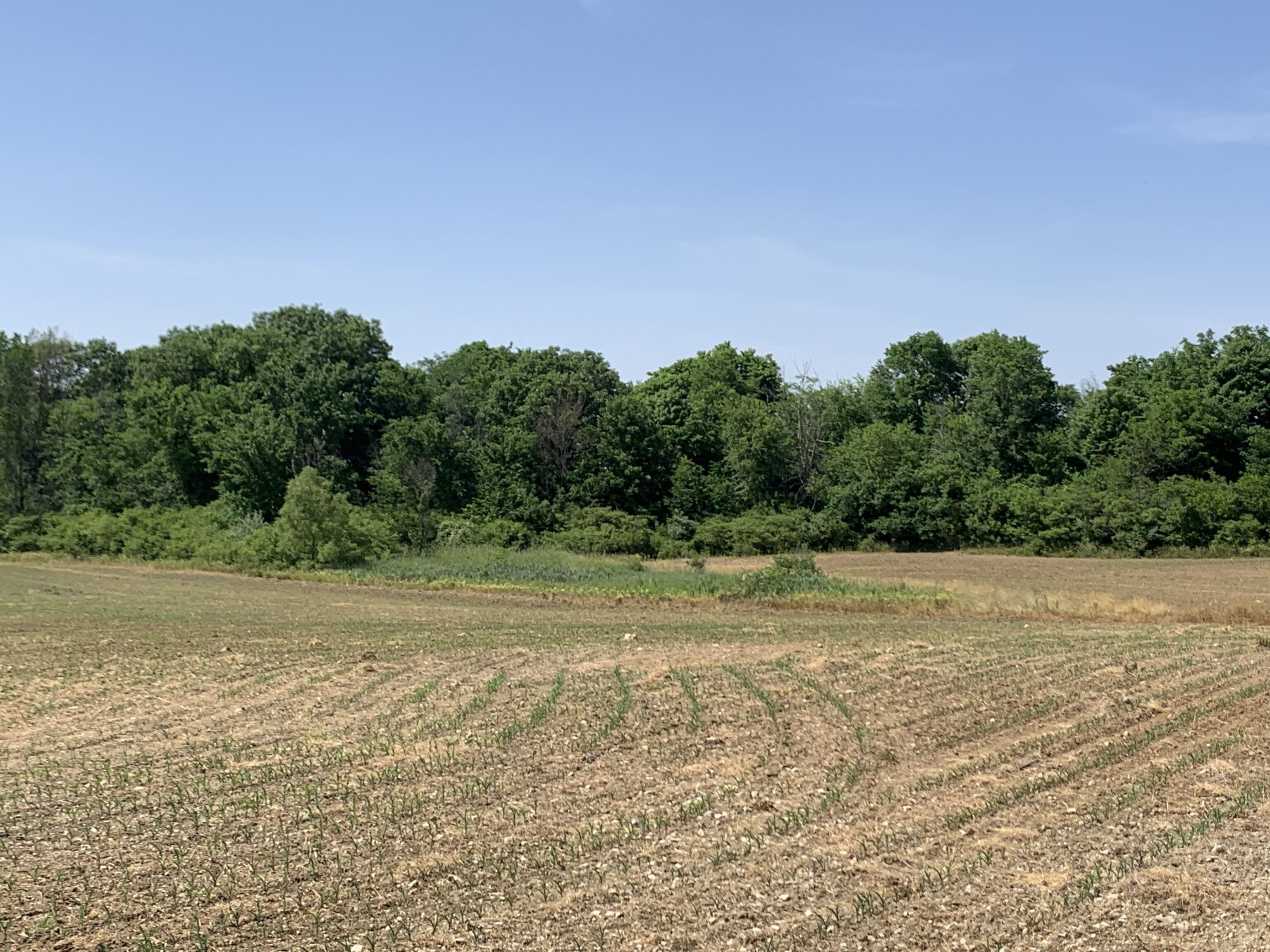 Losantville, Randolph County, IN Farms and Ranches for sale Property ID