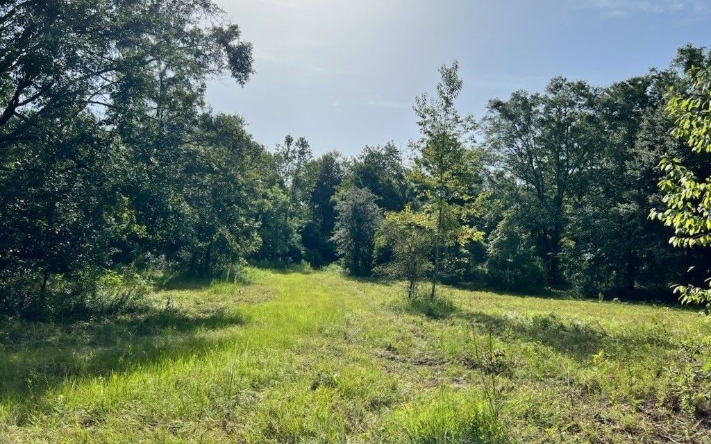 Live Oak, Suwannee County, FL Farms and Ranches for sale Property ID