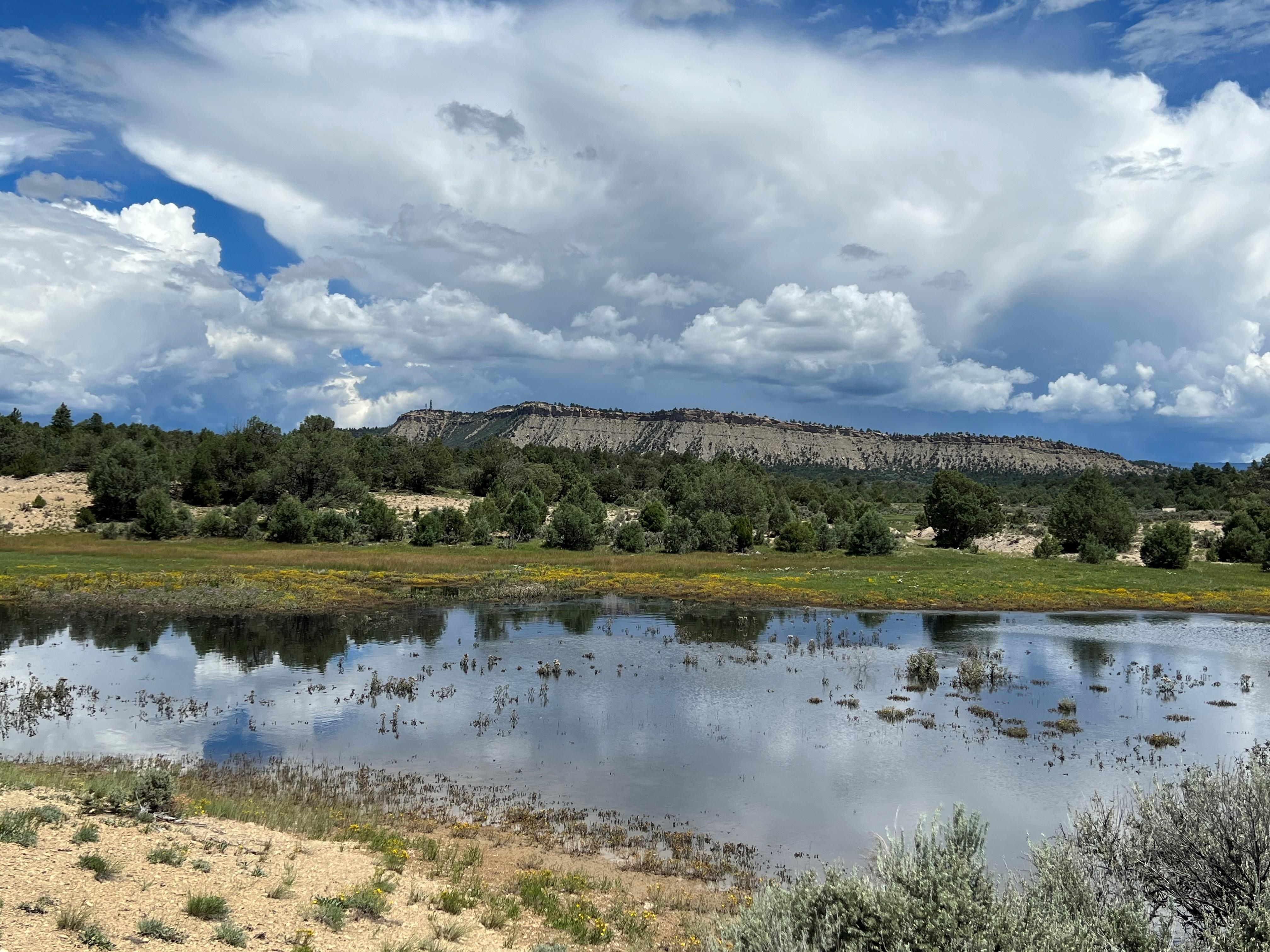 Tierra Amarilla, Rio Arriba County, NM Farms and Ranches, Recreational
