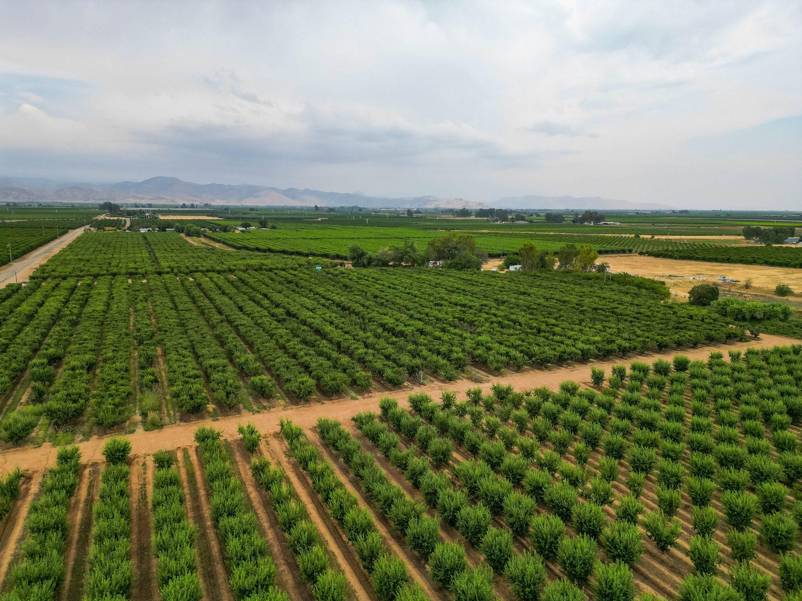 Reedley, Fresno County, CA Farms and Ranches for sale Property ID