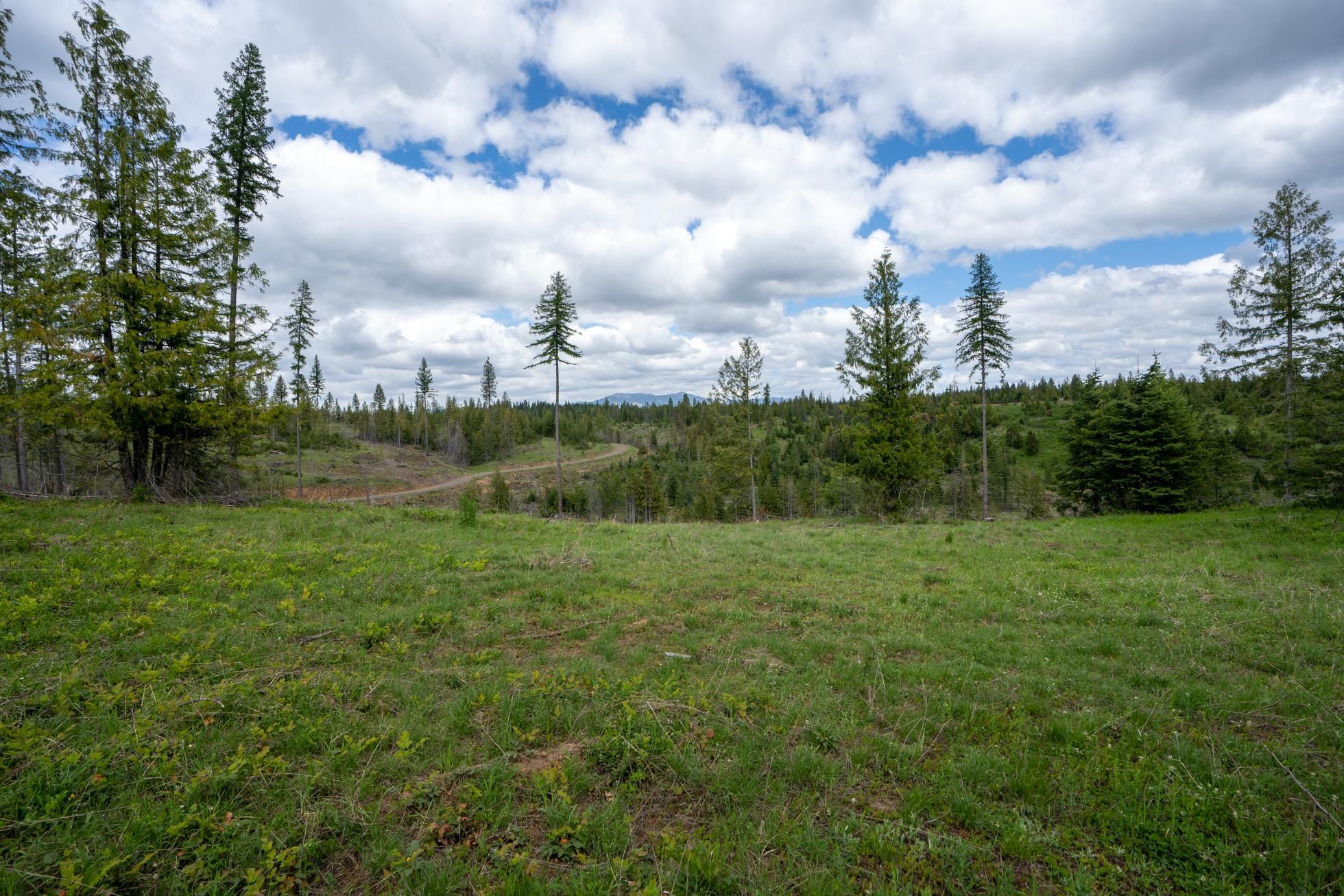 St Maries, Benewah County, ID Recreational Property, Undeveloped Land