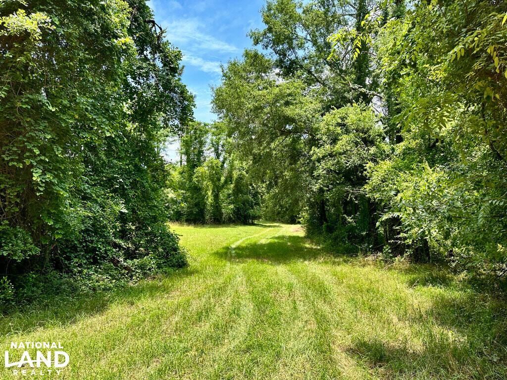 Buena Vista, Schley County, GA Recreational Property, Undeveloped Land