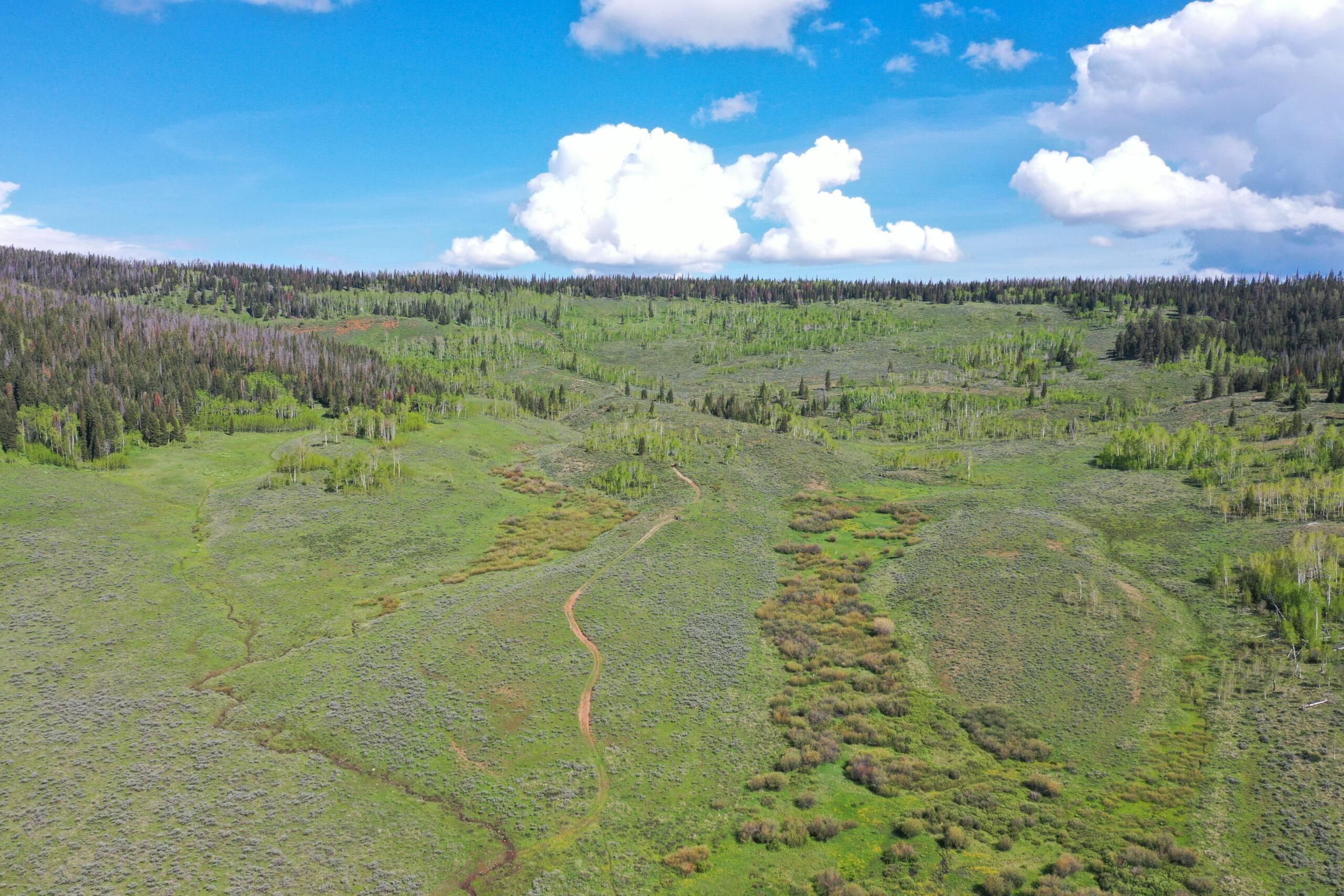 0 County Road 225, Toponas, CO 80479 LandWatch