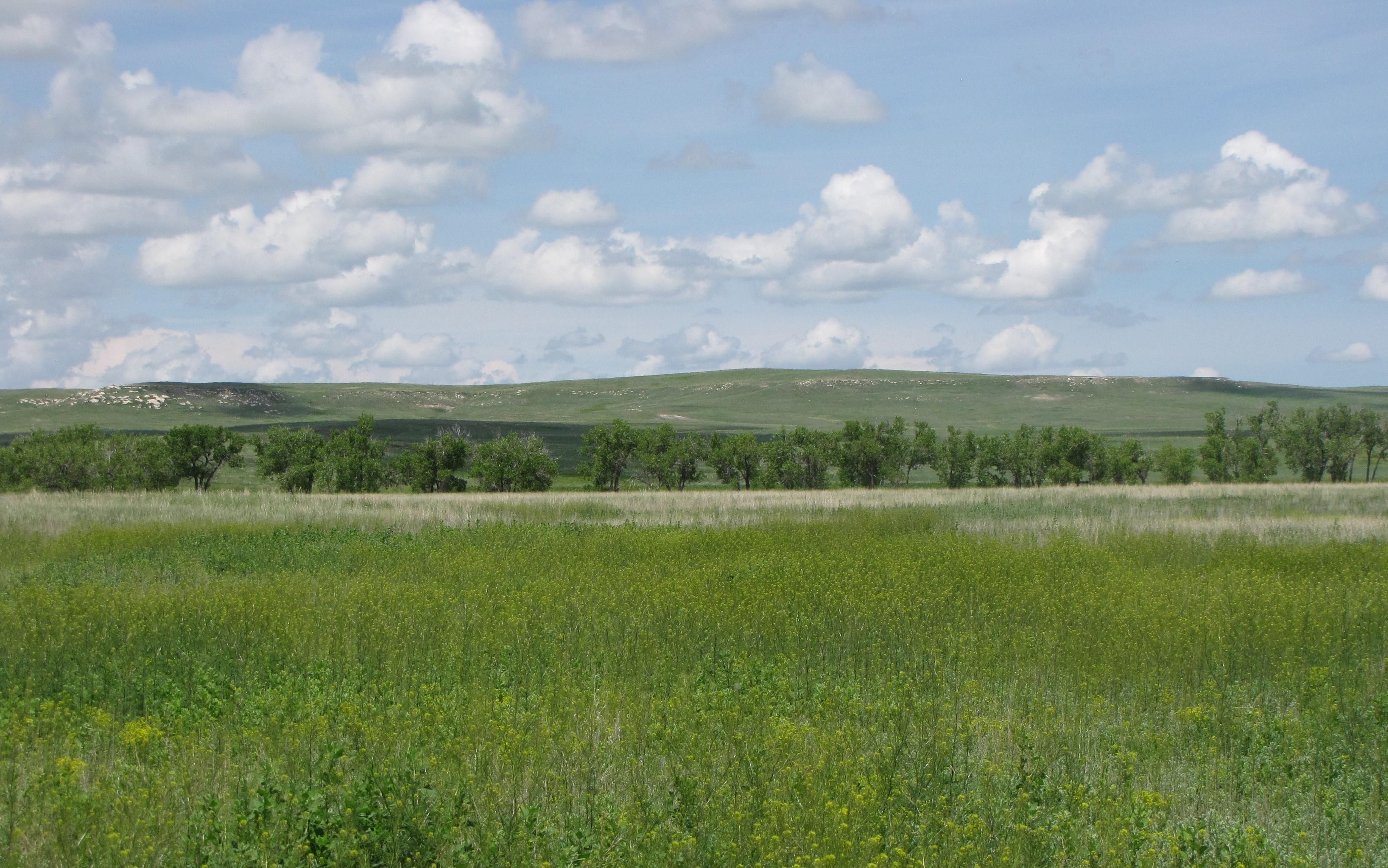 Matheson, Elbert County, CO Farms and Ranches, Recreational Property