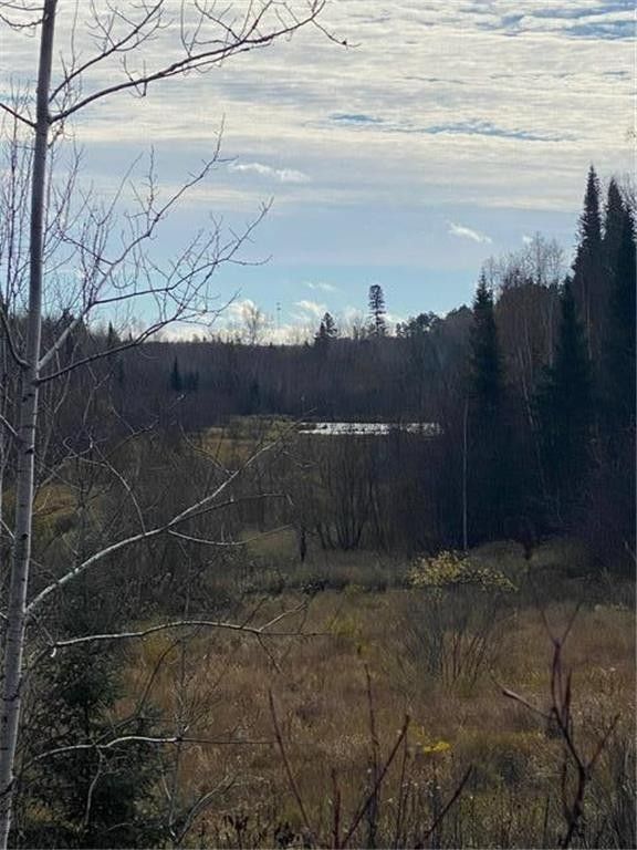 Orr, Saint Louis County, MN Undeveloped Land for sale Property ID 416648214 LandWatch