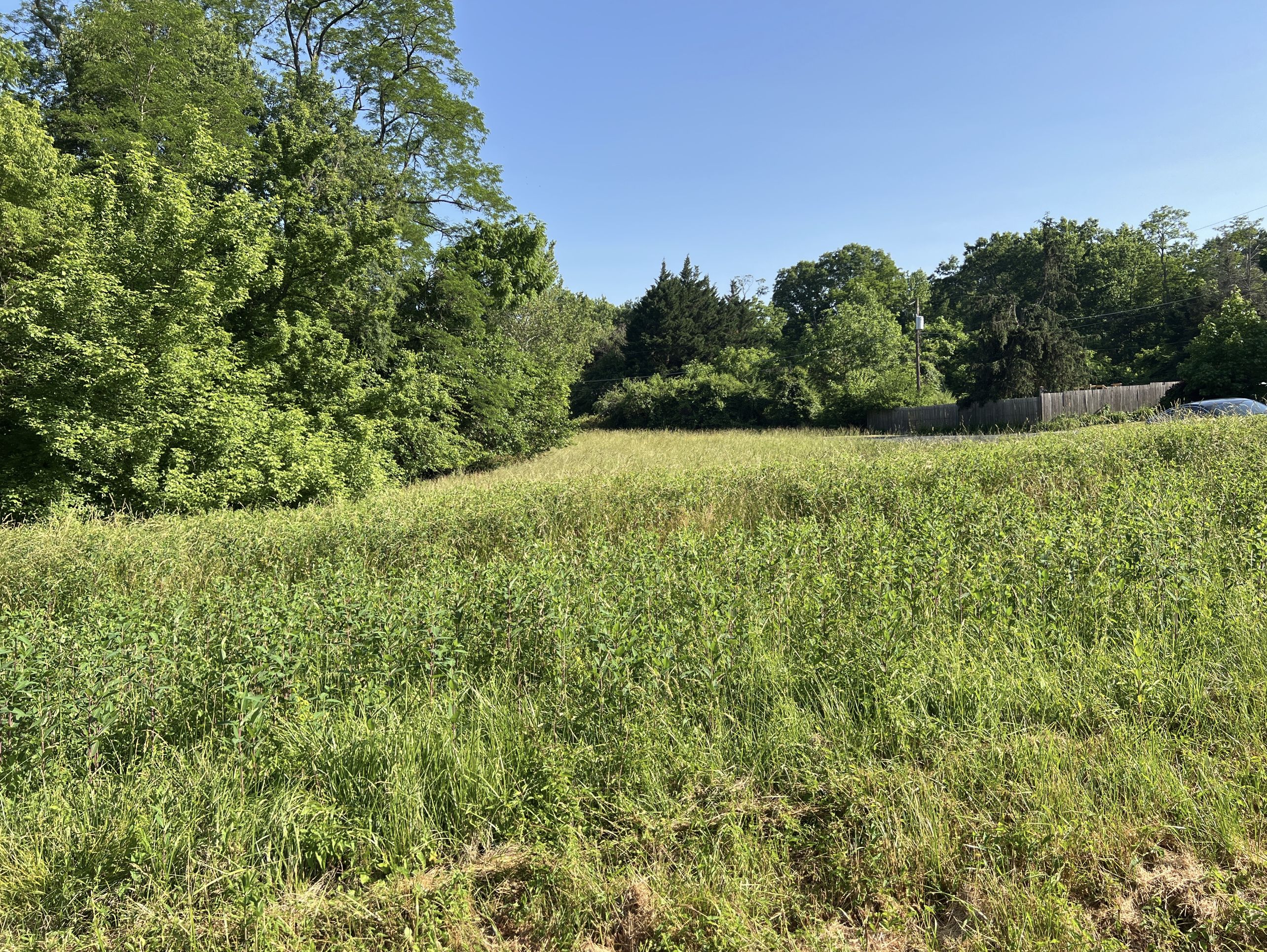 Earleville, Cecil County, MD Recreational Property, Undeveloped Land