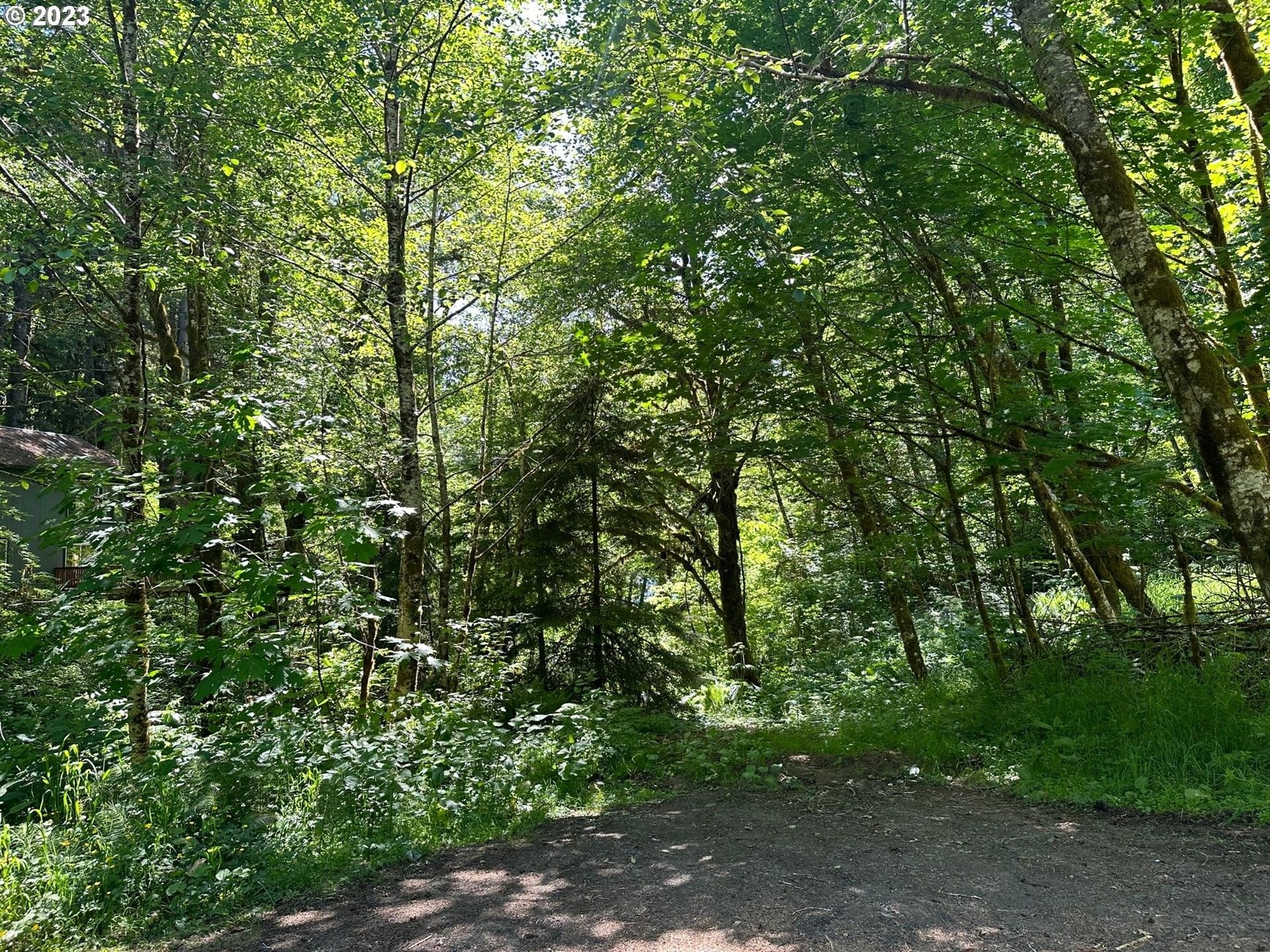 Birkenfeld, Clatsop County, OR Undeveloped Land, Homesites for sale