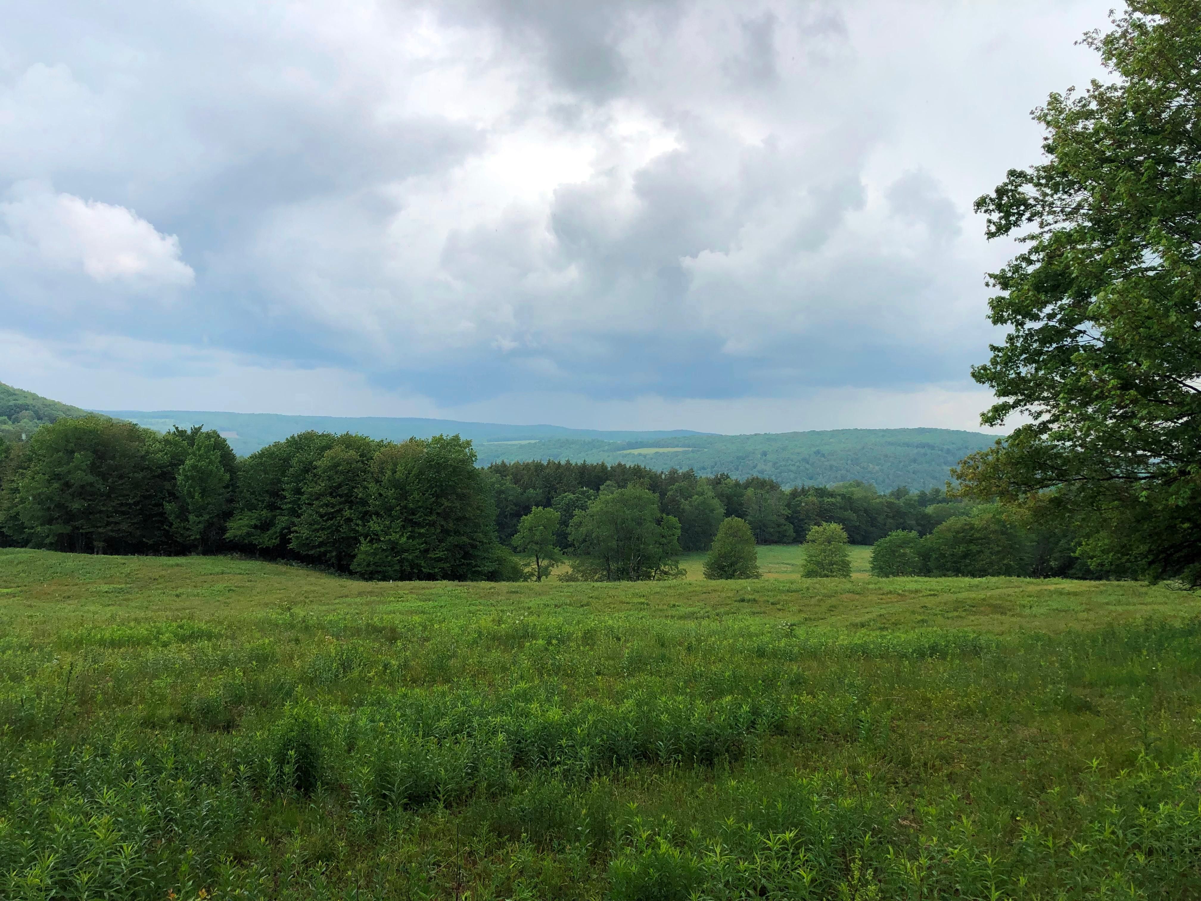 South Otselic, Chenango County, NY Recreational Property, Hunting