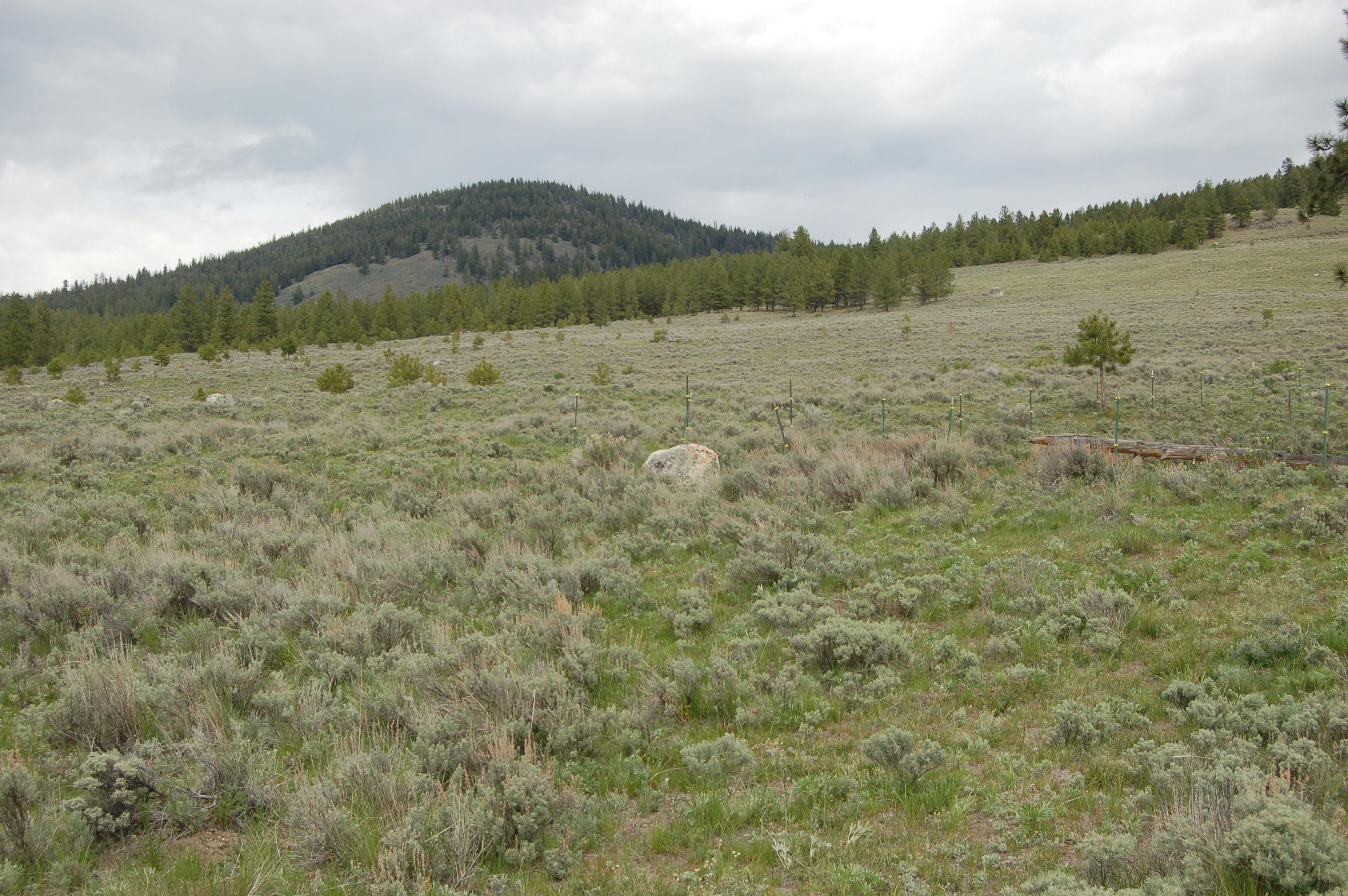 20.04 acres in Tonasket, WA, 98855 LandWatch