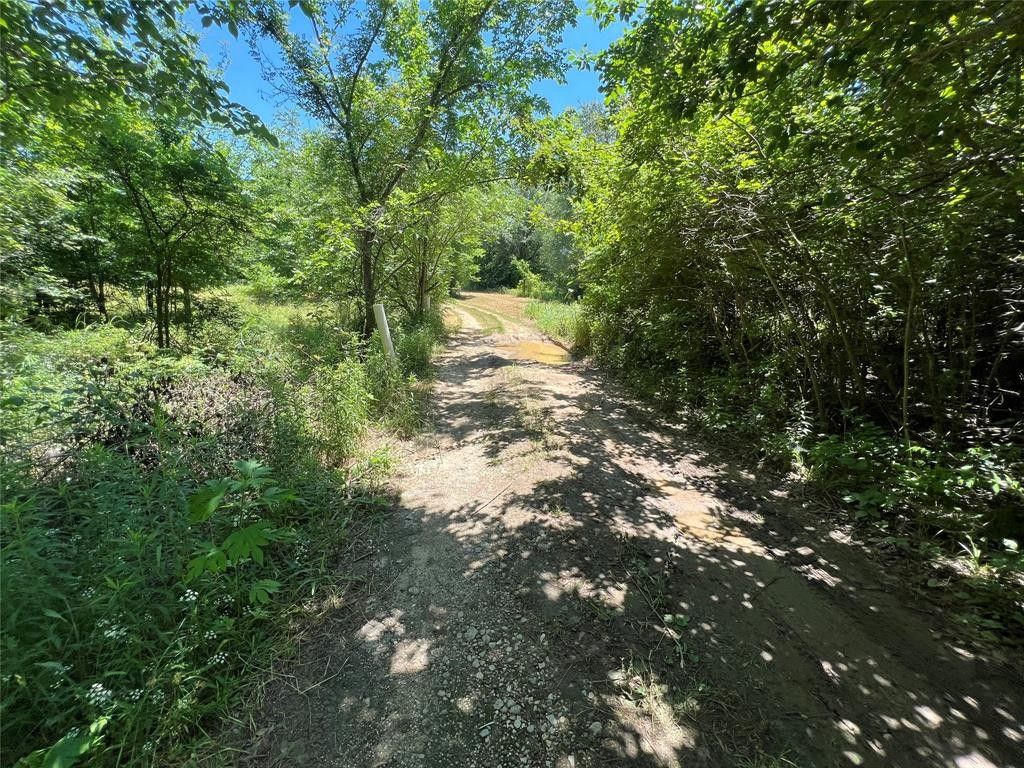 Canton, Van Zandt County, TX Undeveloped Land for sale Property ID