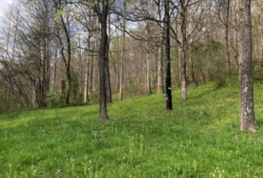 Ben Hur, Lee County, VA Undeveloped Land, Homesites for sale Property