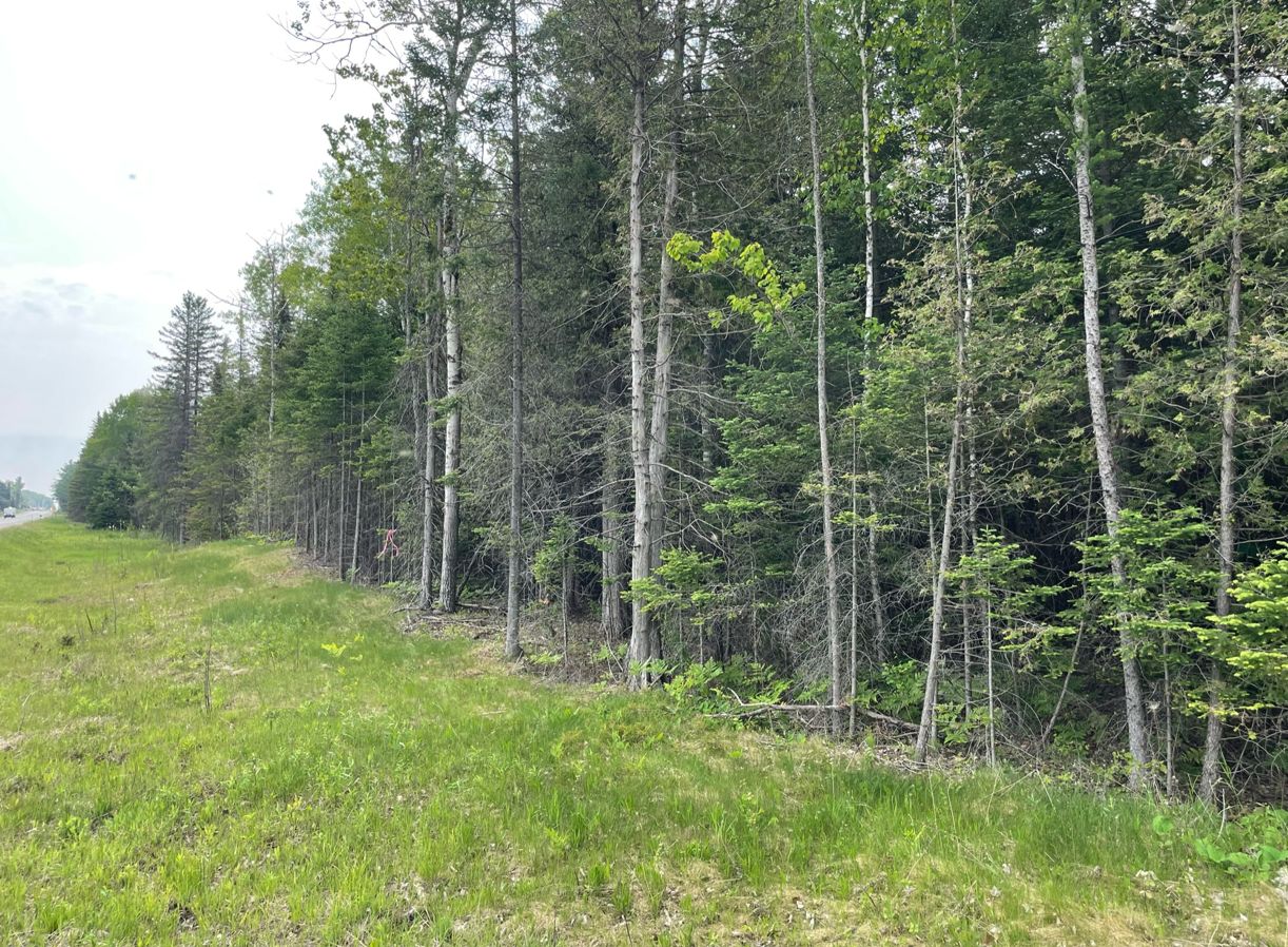 Fairview, Oscoda County, MI Recreational Property, Undeveloped Land