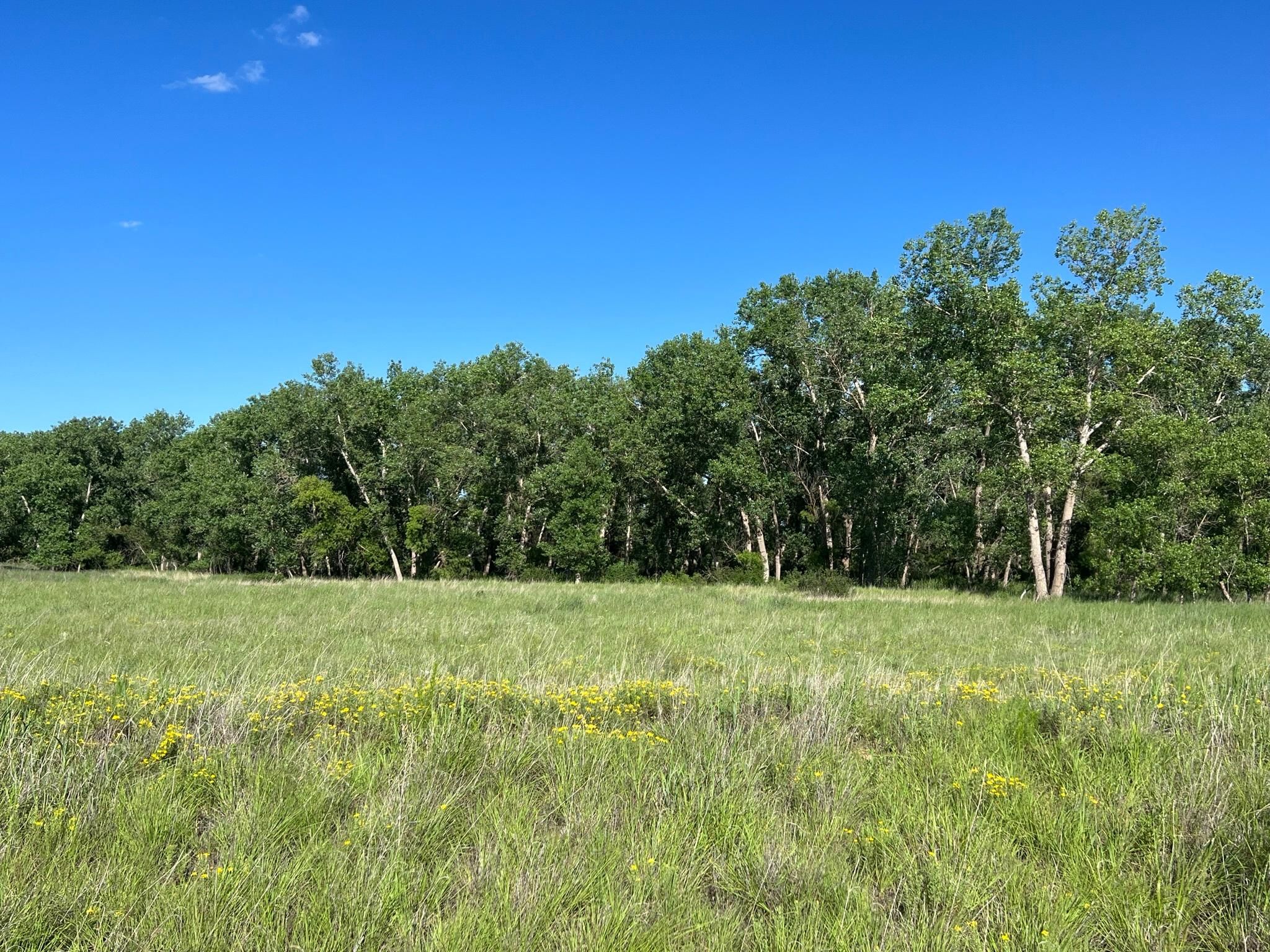 Lakeview, Hall County, TX Farms and Ranches, Recreational Property