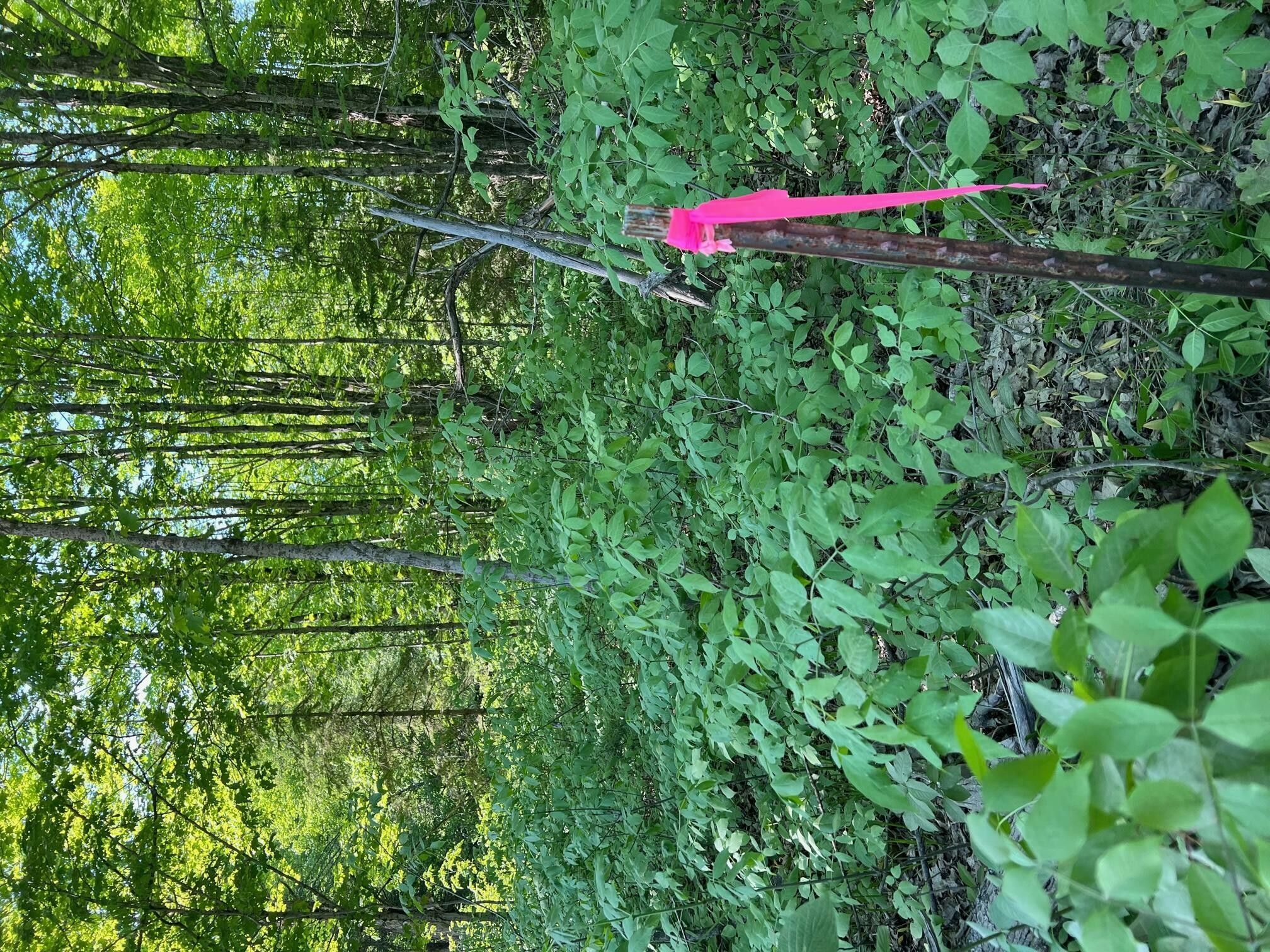 Pickford, Chippewa County, MI Farms and Ranches for sale Property ID 416657331 LandWatch