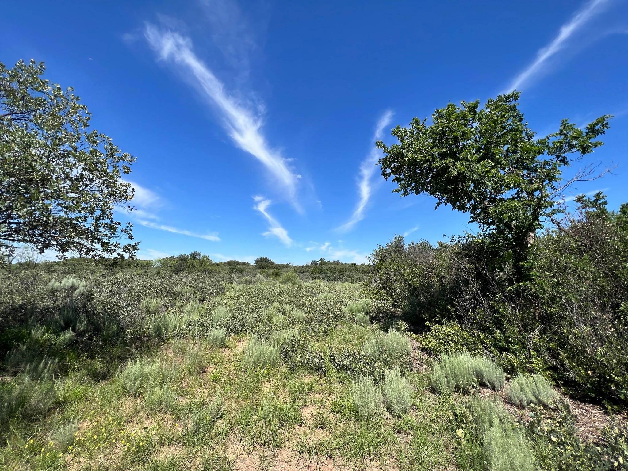 State Hwy 203, Quail, TX 79251 MLS 231287 LandWatch