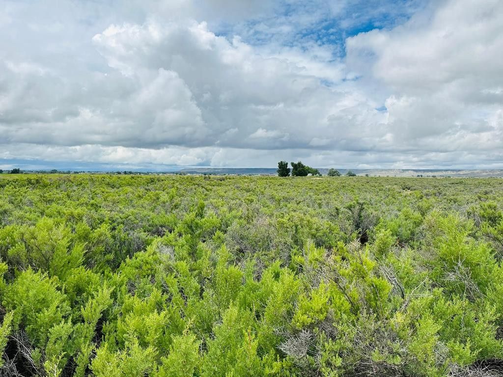 Powell, Park County, WY Undeveloped Land for sale Property ID