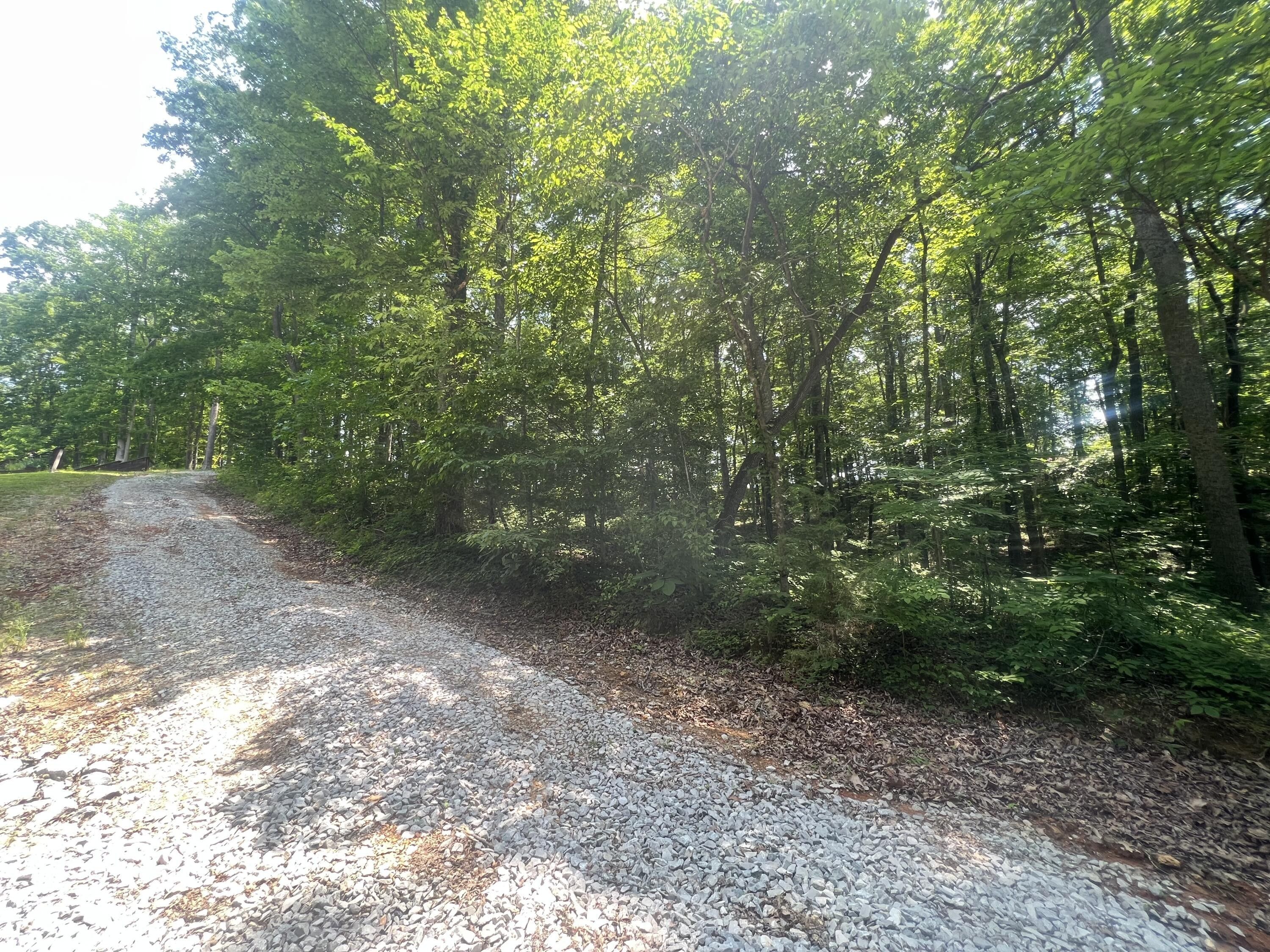 Nancy, Russell County, KY Farms and Ranches, Homesites for sale