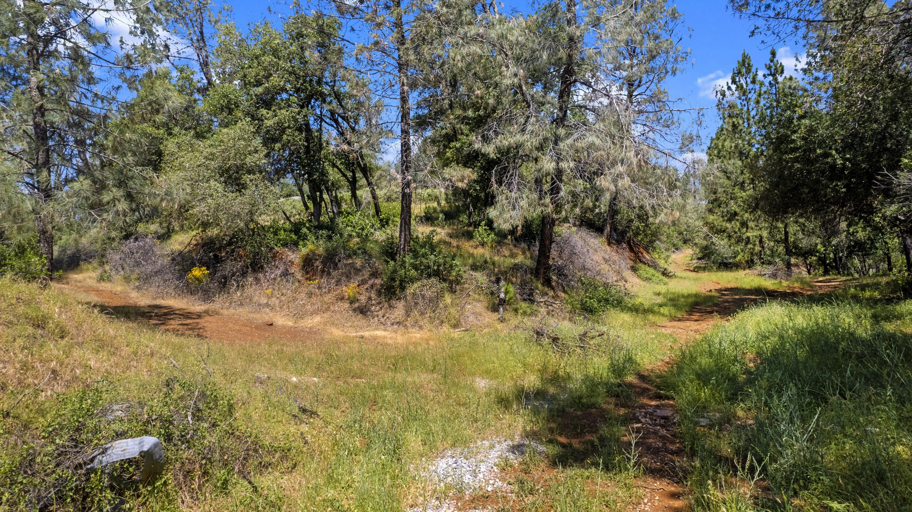 Shasta Lake, Shasta County, CA Undeveloped Land for sale Property ID