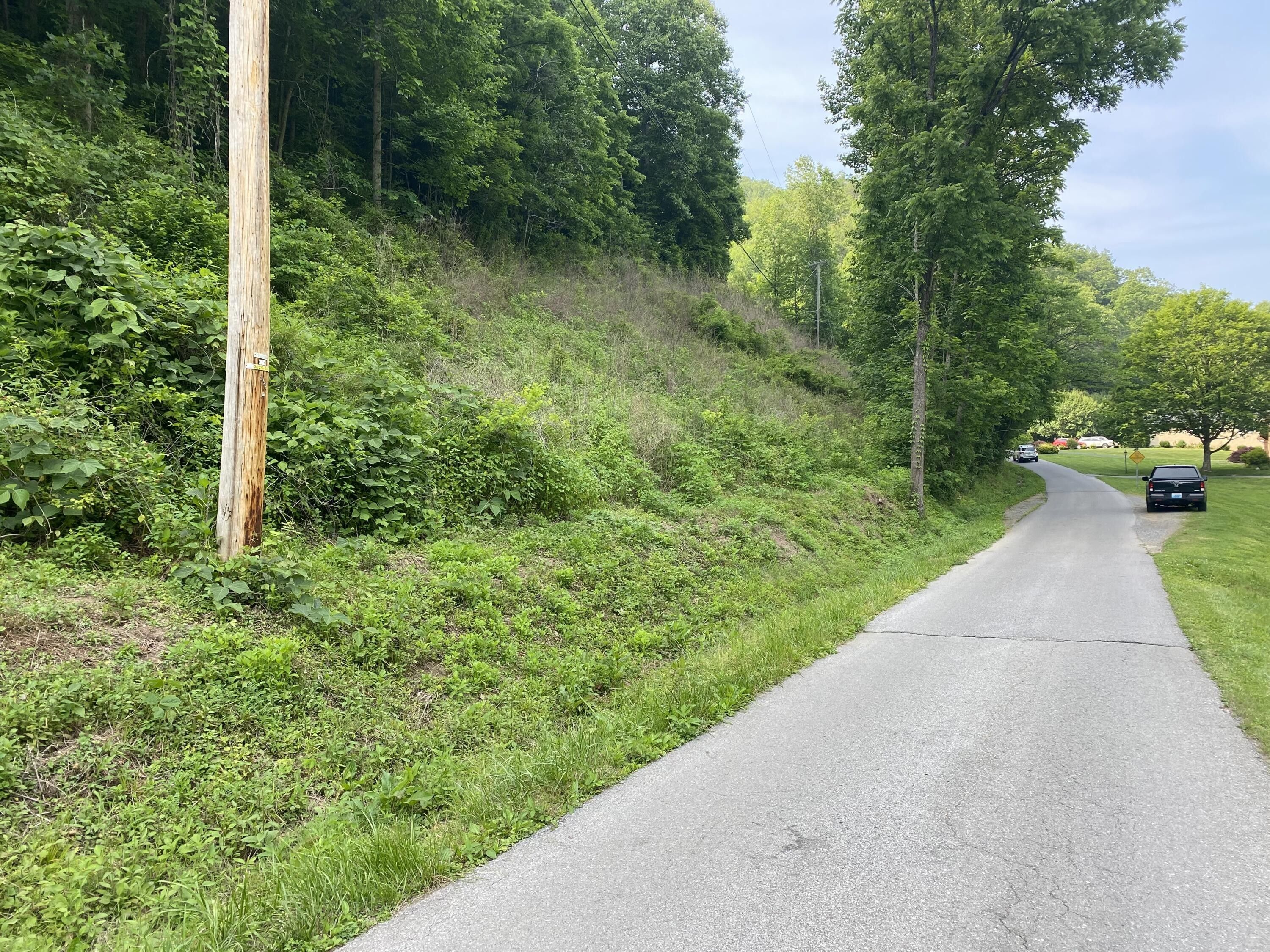 Pikeville, Pike County, KY Undeveloped Land for sale Property ID