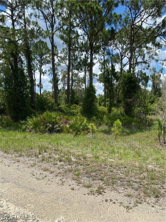 Lehigh Acres, Lee County, FL Farms and Ranches, Homesites for sale
