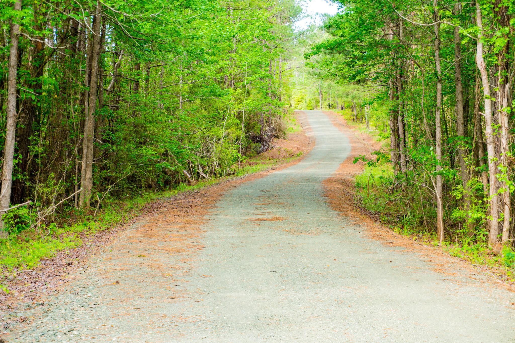 Broaddus, San Augustine County, TX Recreational Property, Undeveloped
