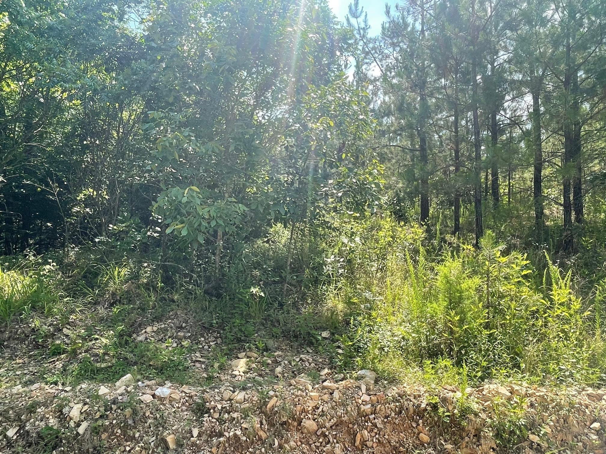 Mena, Polk County, AR Recreational Property, Timberland Property for